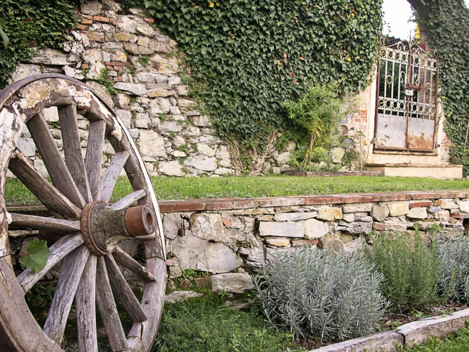 RUSTICO DORA-Outside