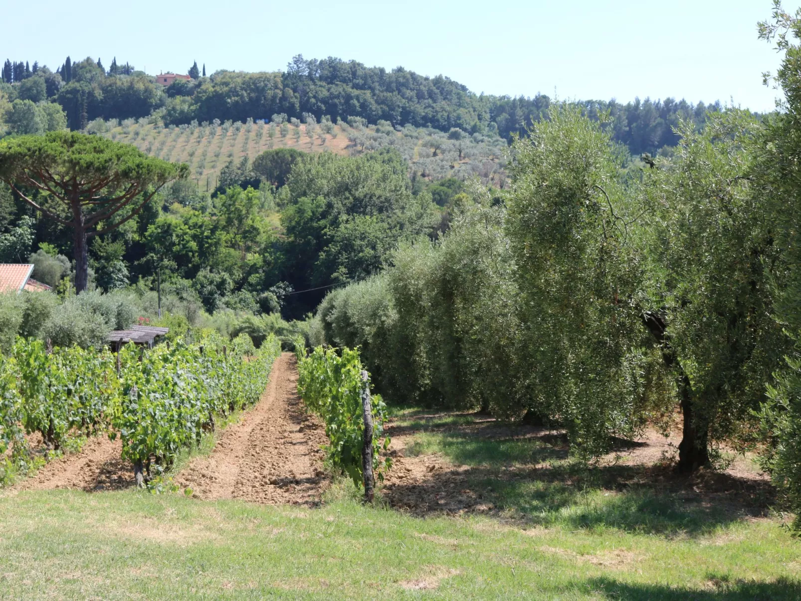 Unknown Accommodation-Inside