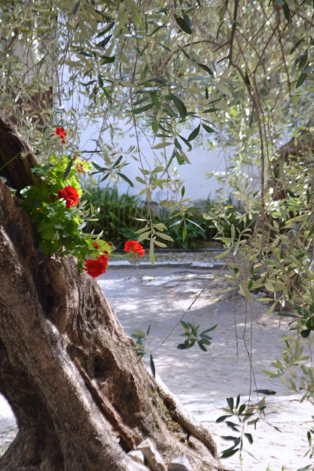 Charmantes Appartment in Diano San Pietro-Dehors