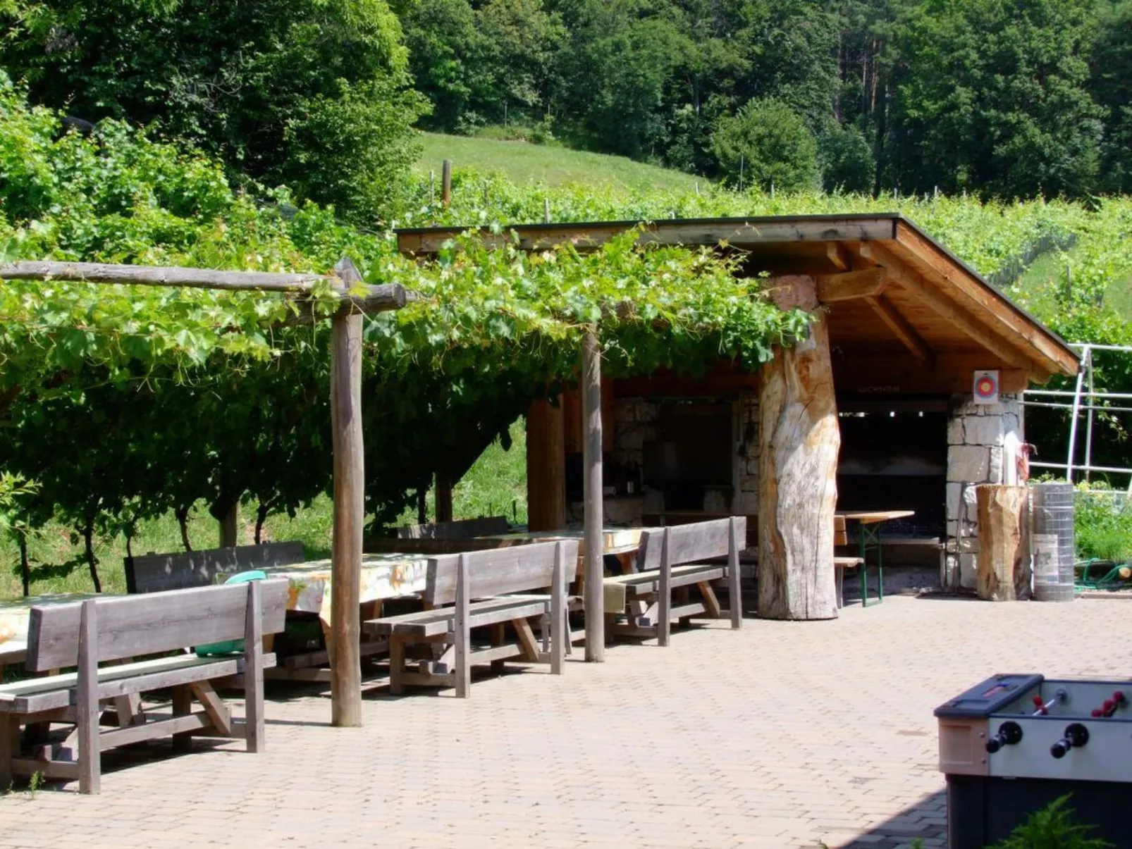 Apartment Merlot in Kurtatsch mit Panoramablick-Image-tags.info