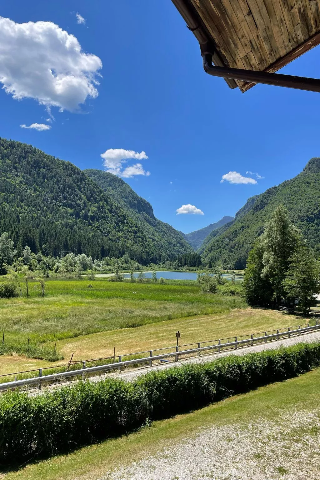 Gesegnet wie Frösche auf einem Seerosenblatt-Draußen