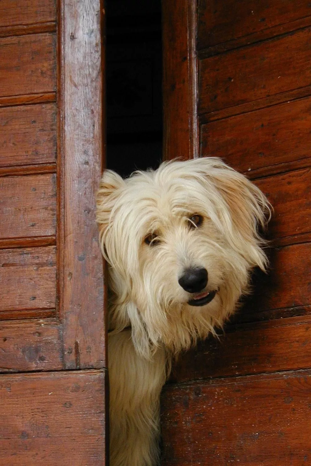 Wohnung mit Garten in Barberino Tavarnelle-Inside