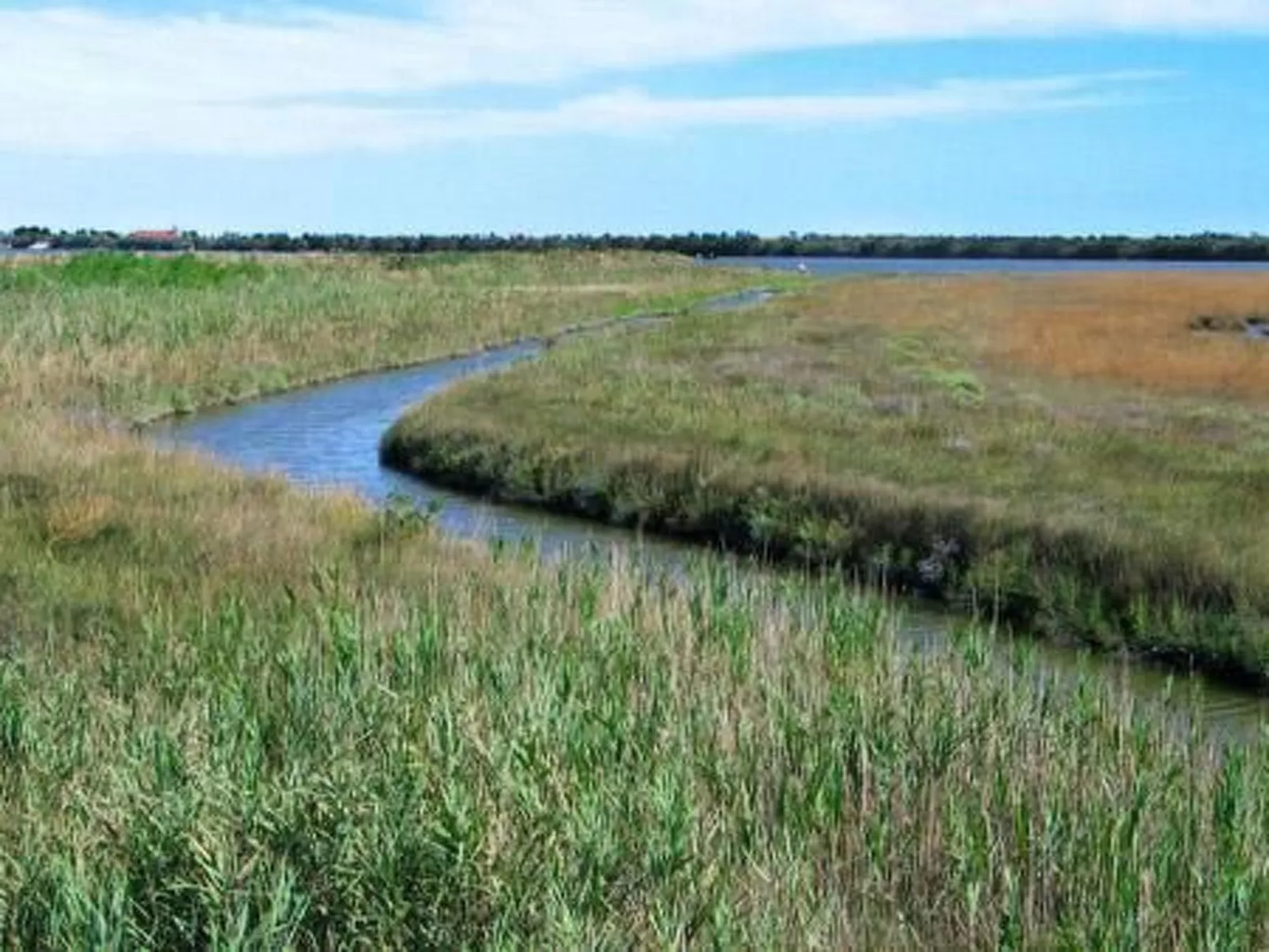 Elegante Wohnung in einer venezianischen Villa-Drinnen
