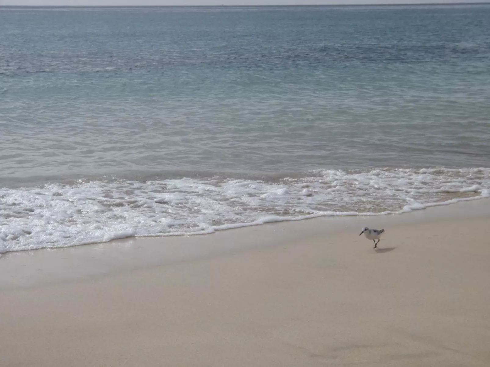 Strandnahe Ferienwohnung in Morro Jable-Inside