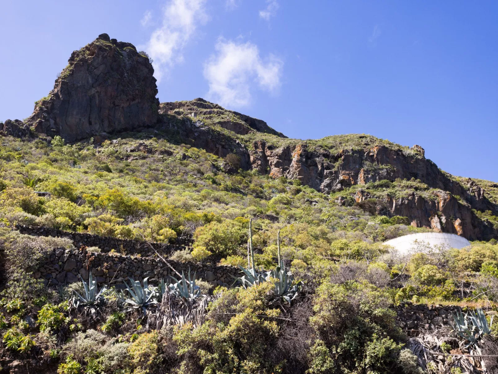 Choviejo-Image-tags.info