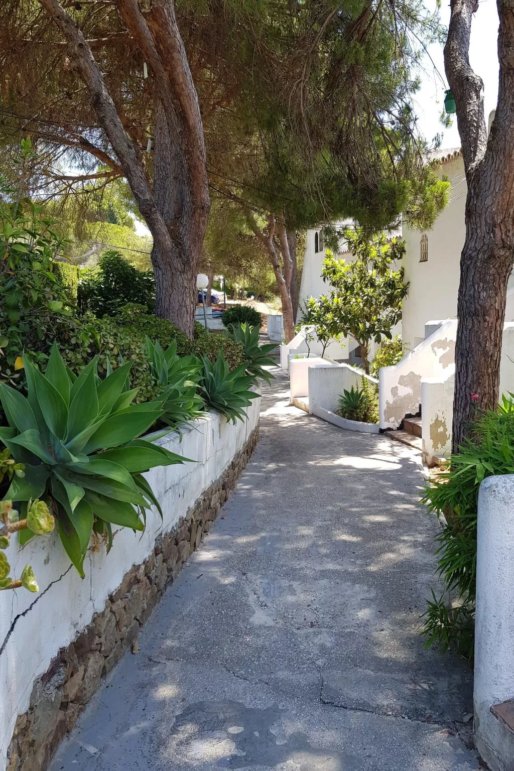 Der Ort des Lichts-Dedans