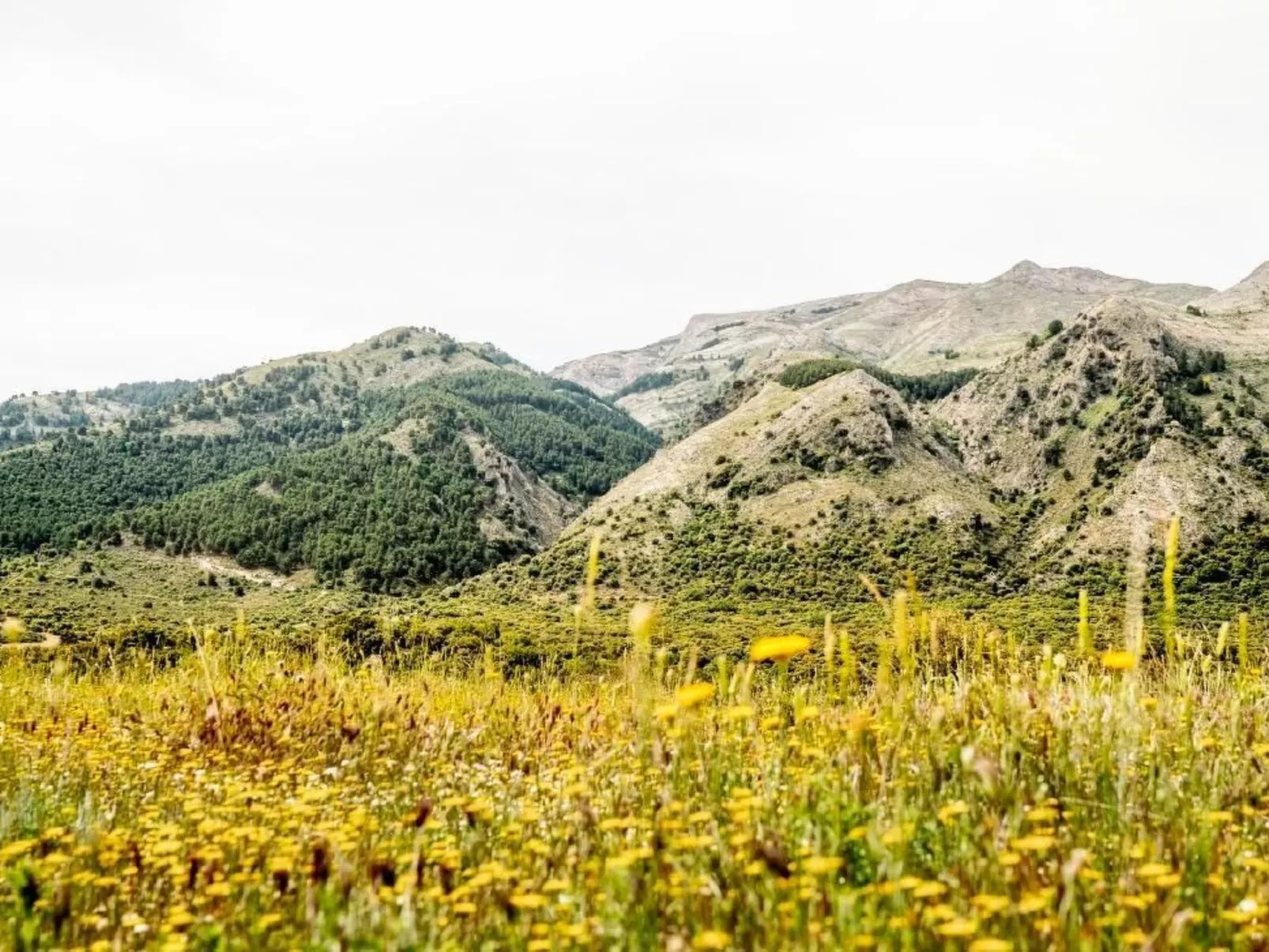 Valparaiso-Image-tags.info