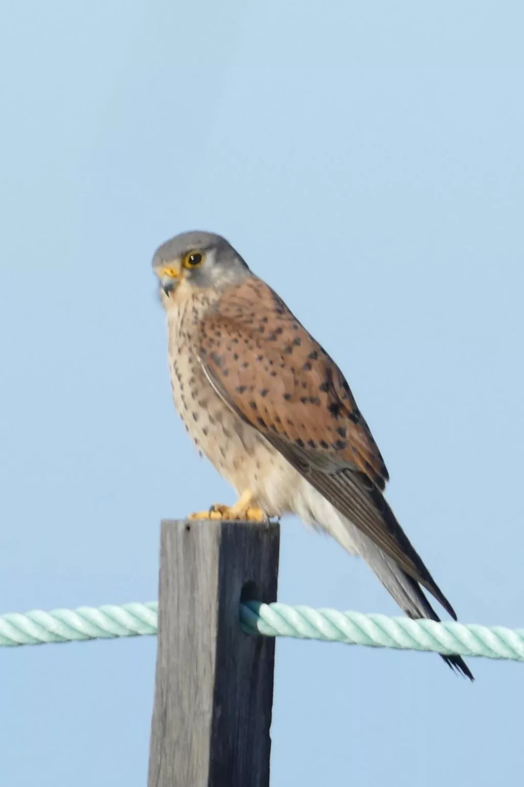 Haus La Majada-Inside