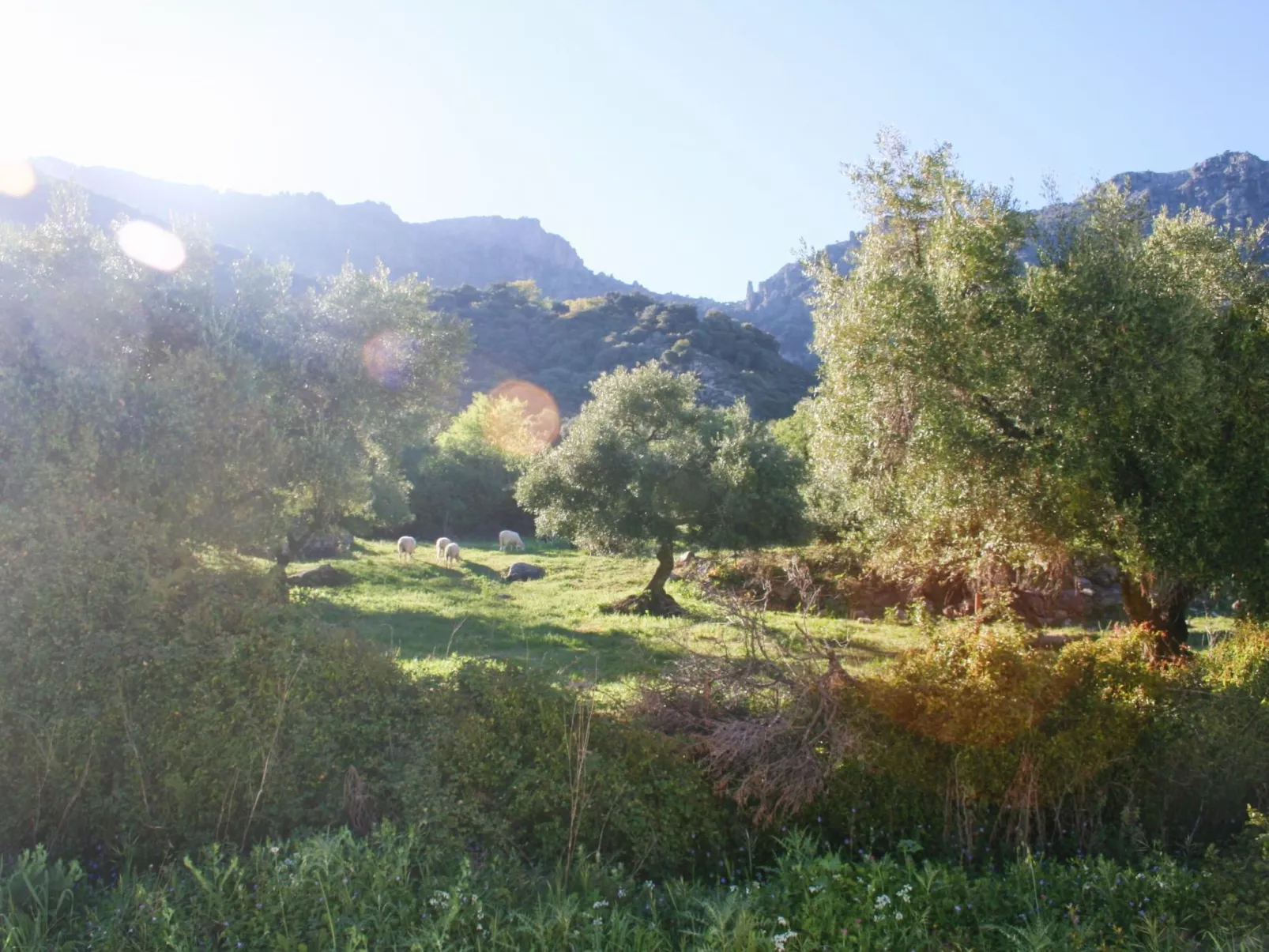 Gemütliches Landhaus Betania in Grazalema-Inside