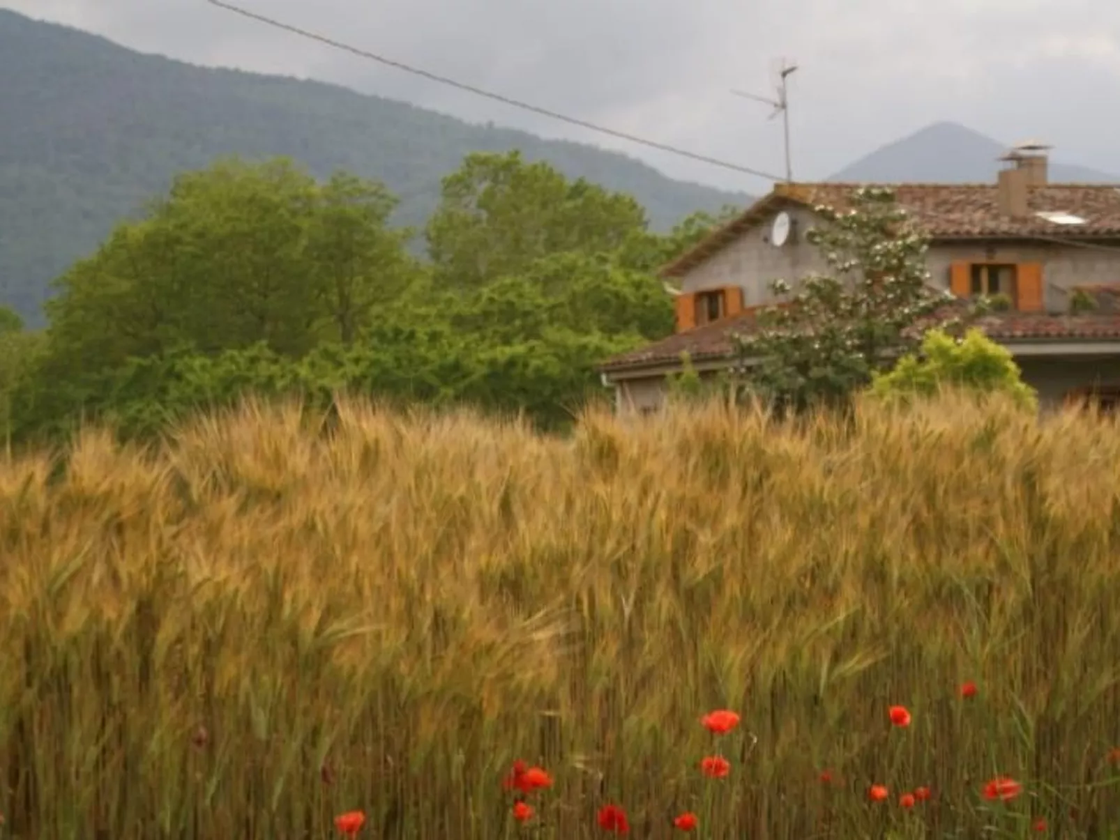 Wohnung El Graner mit großer Fensterfront-Image-tags.info