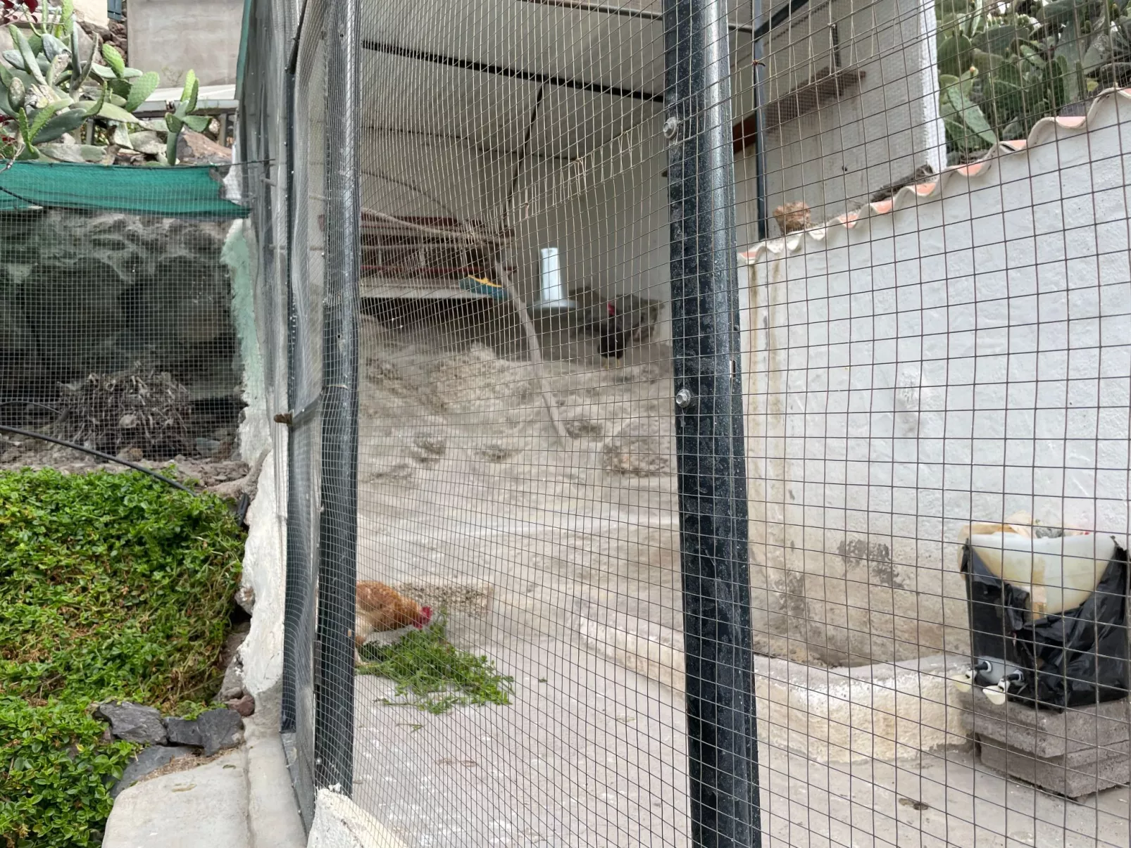 La Casita mit gemeinschaftlichem Wellnessbereich-Outside