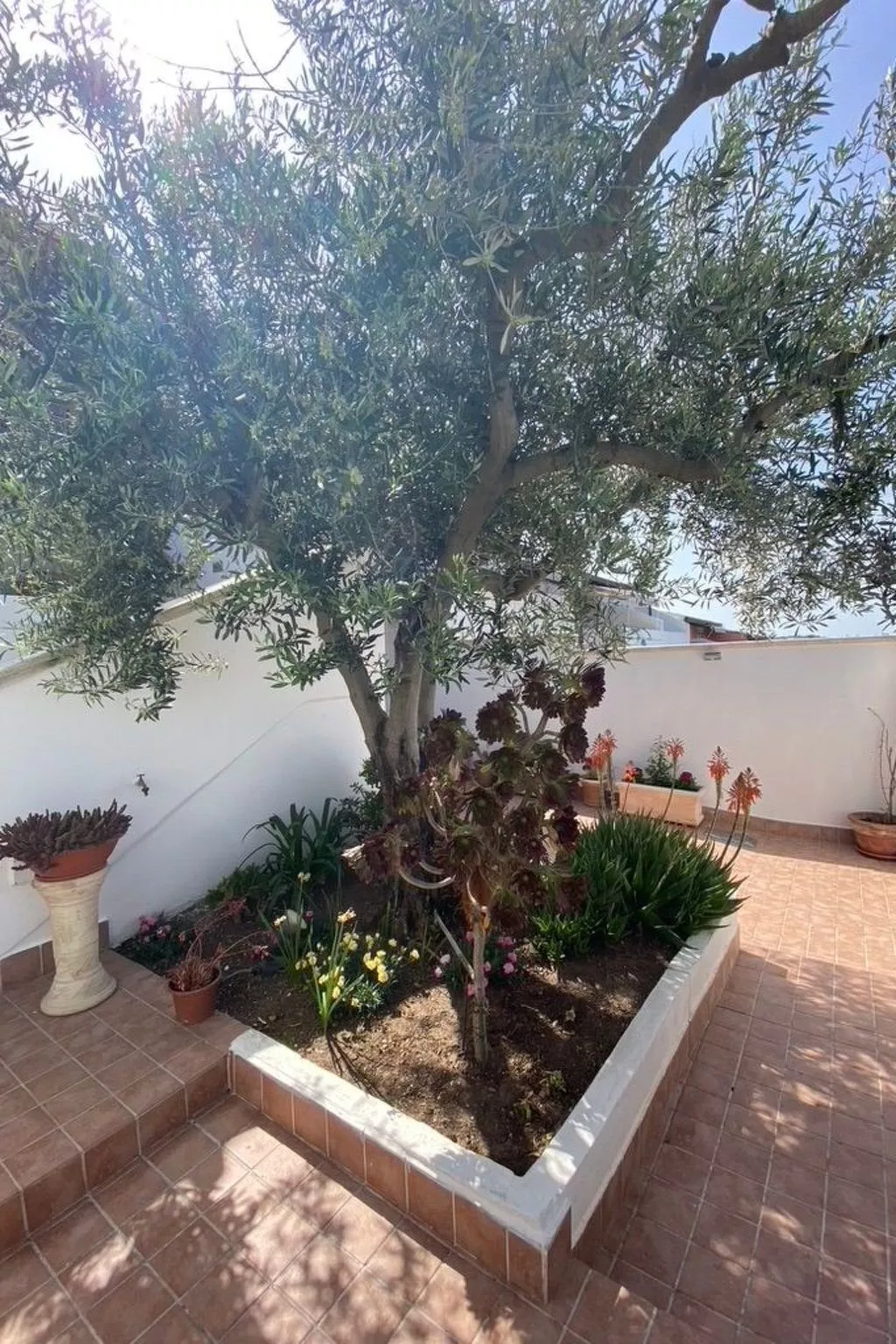 'Sardinia Sunshine-Image-tags.info