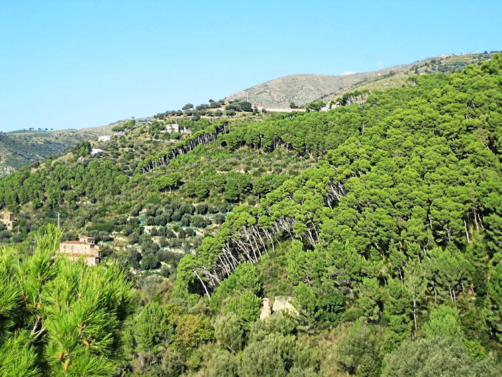 Schöne Ferienwohnug-Outside