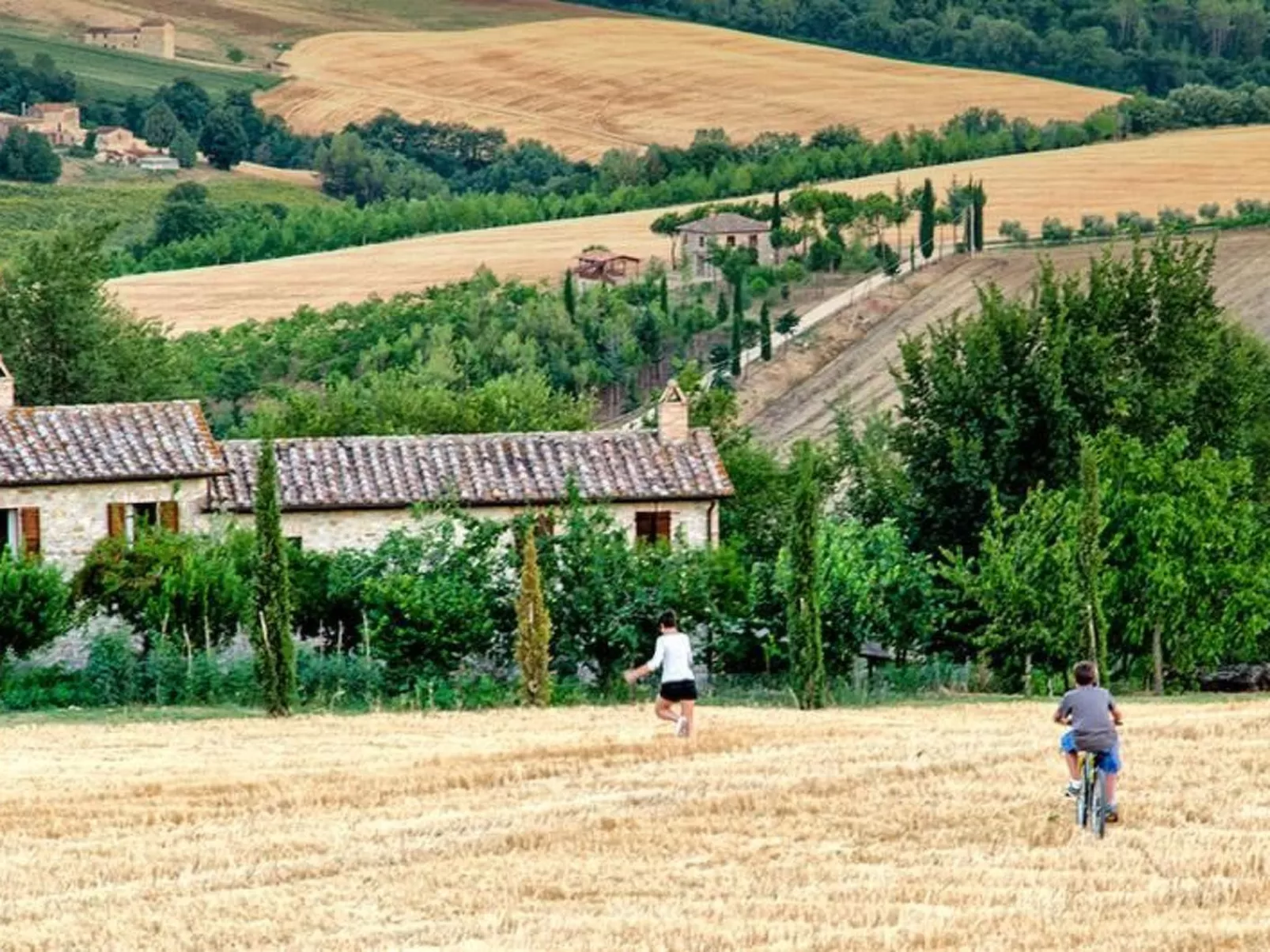 Das Walnusshaus-Dedans
