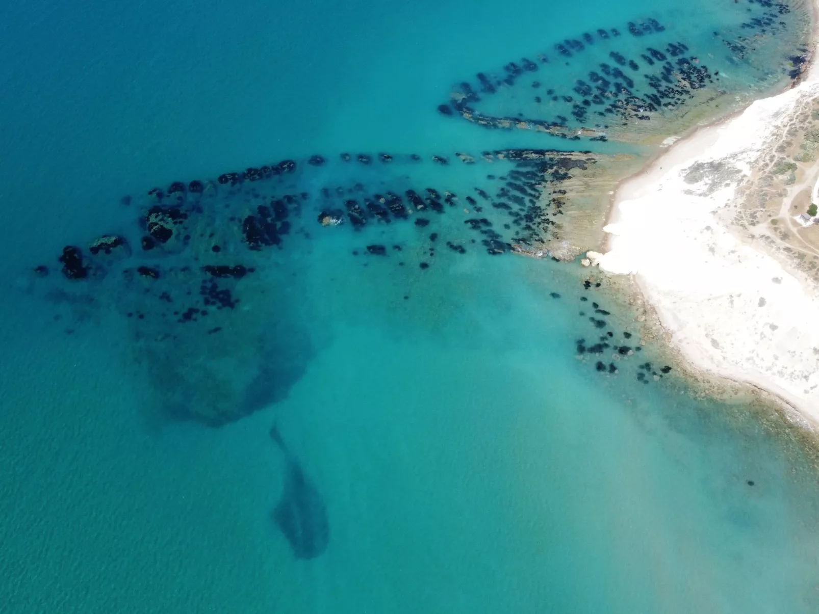 Wohnung 4 - Studio-Inside