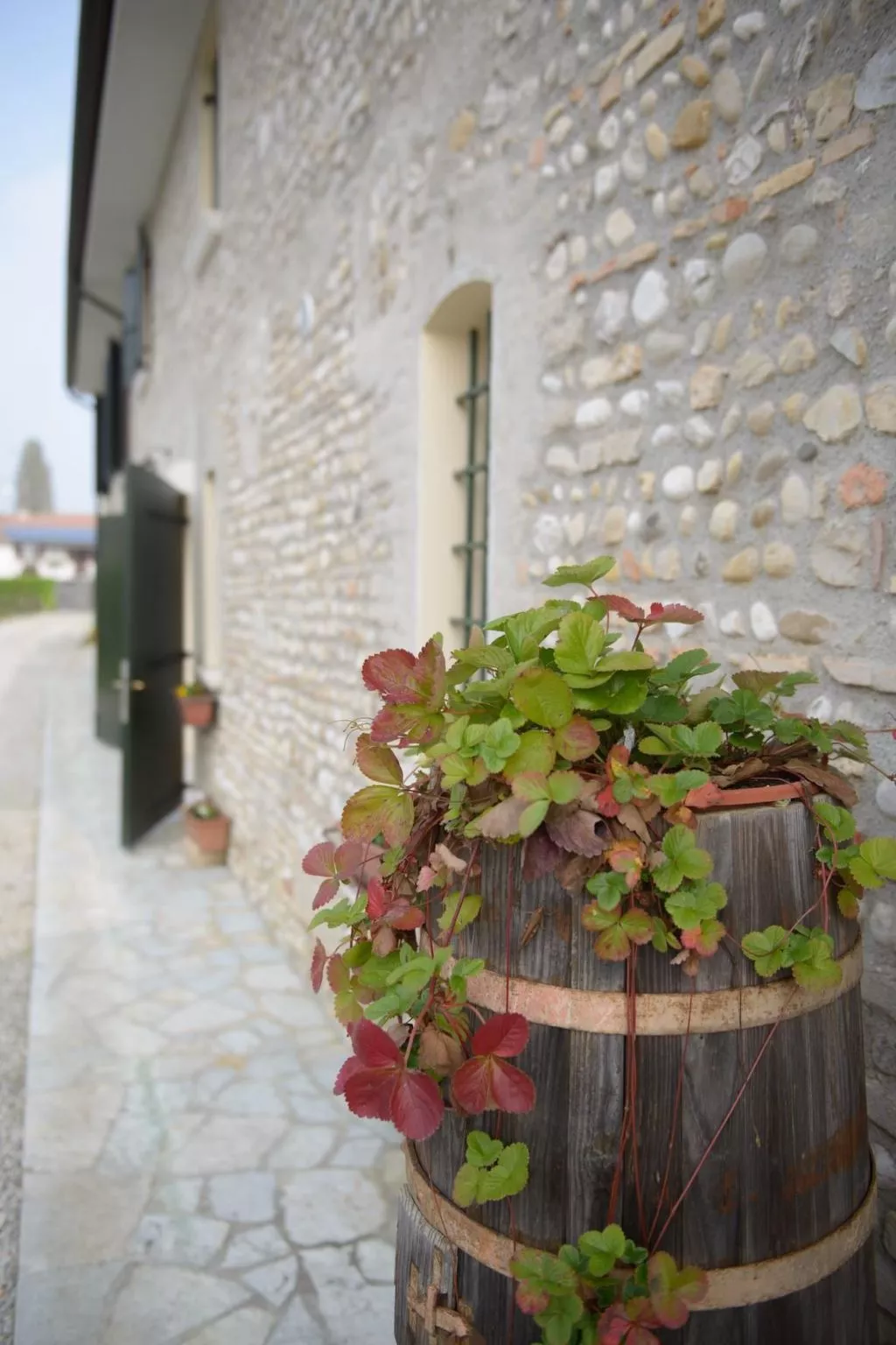 Wohnung 'Rose' mit Terrasse-Dehors