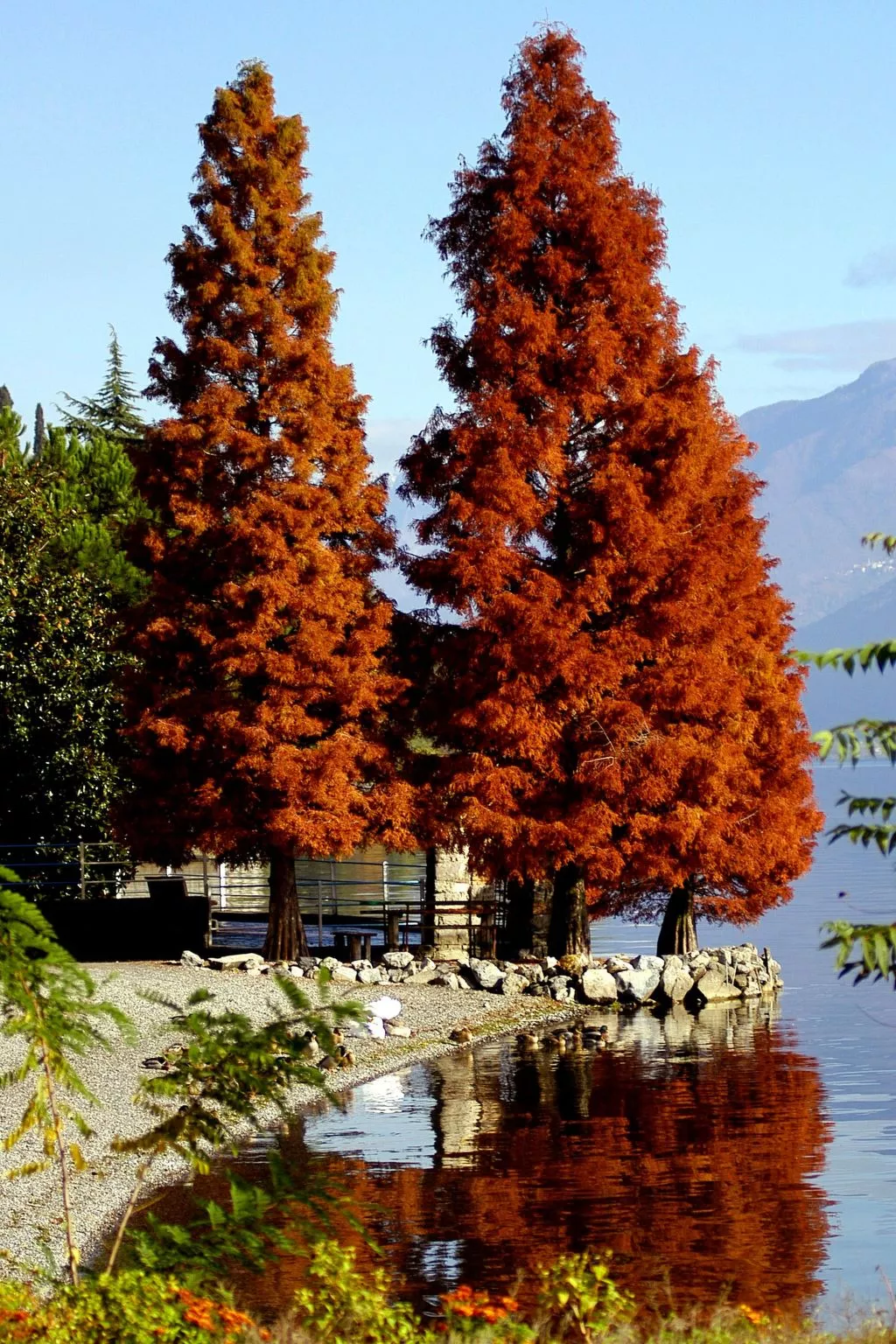 Studio-Apartment mit Balkon mit Seeblick und Zugang zum Garten-Dedans