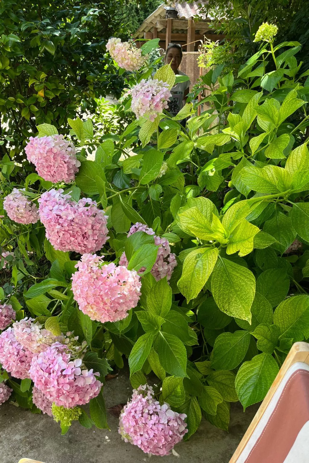 Typisches Bauernhaus mit holzbefeuertem Kamin-Inside