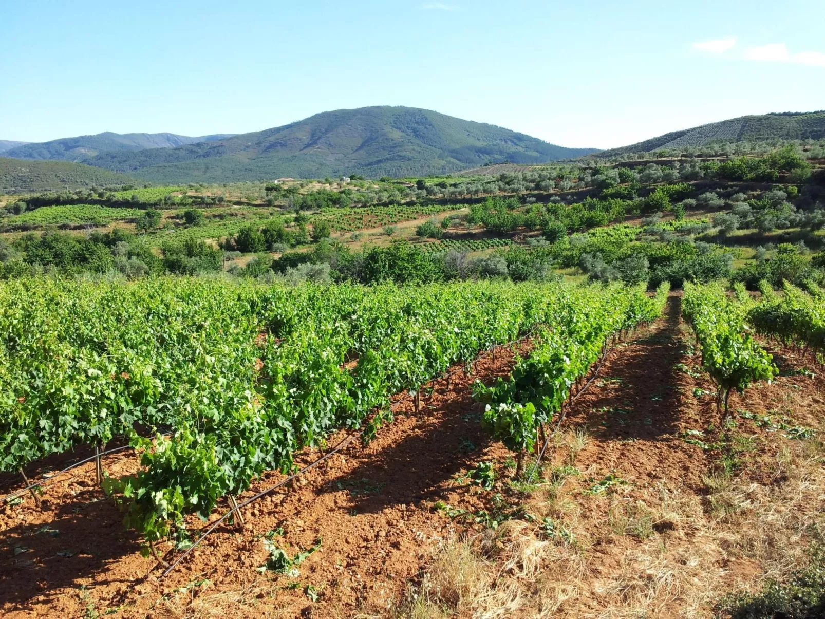 El Mirador del Soto-Outside