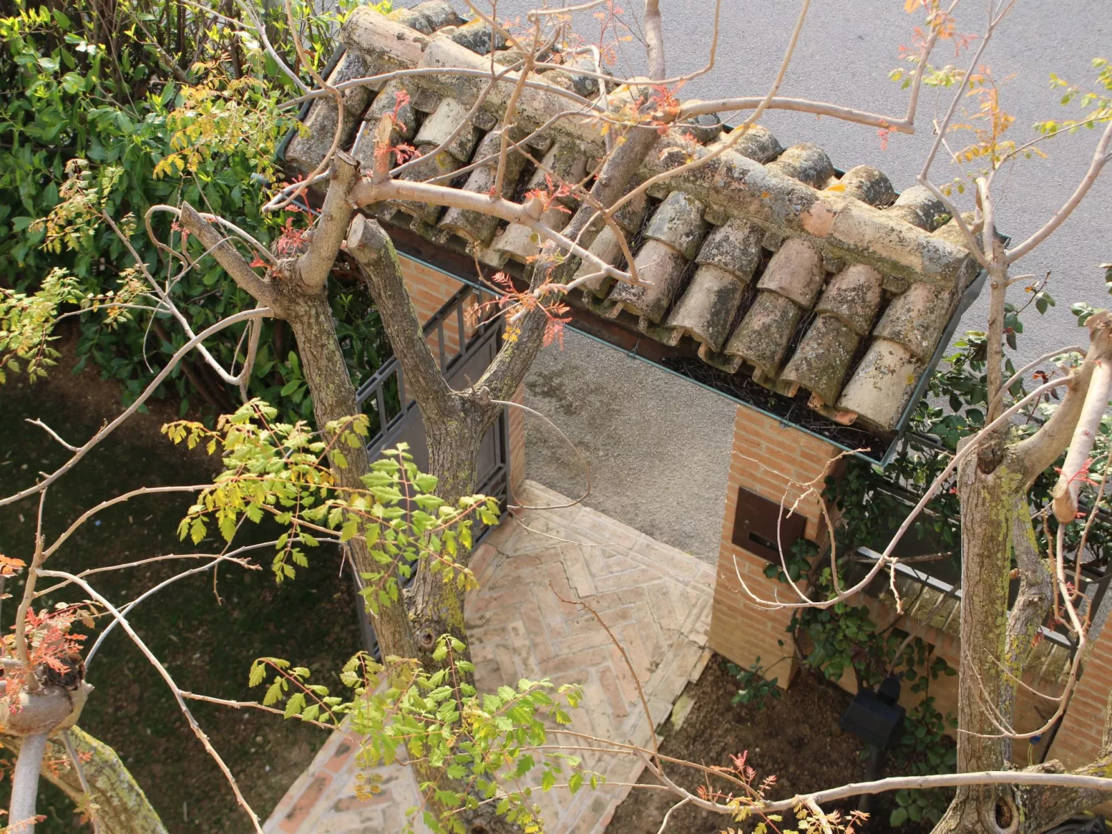 "Daphne Experience".-Dedans