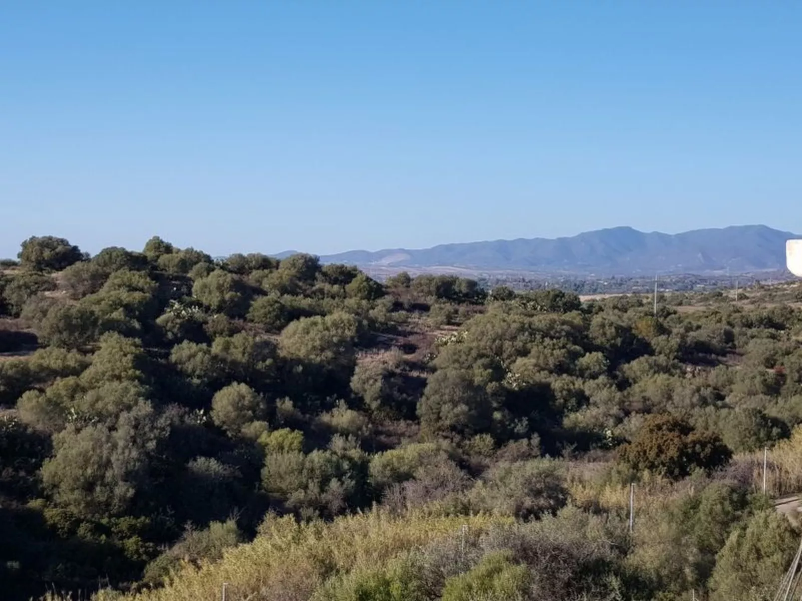 Su Niu Crobu-Draußen