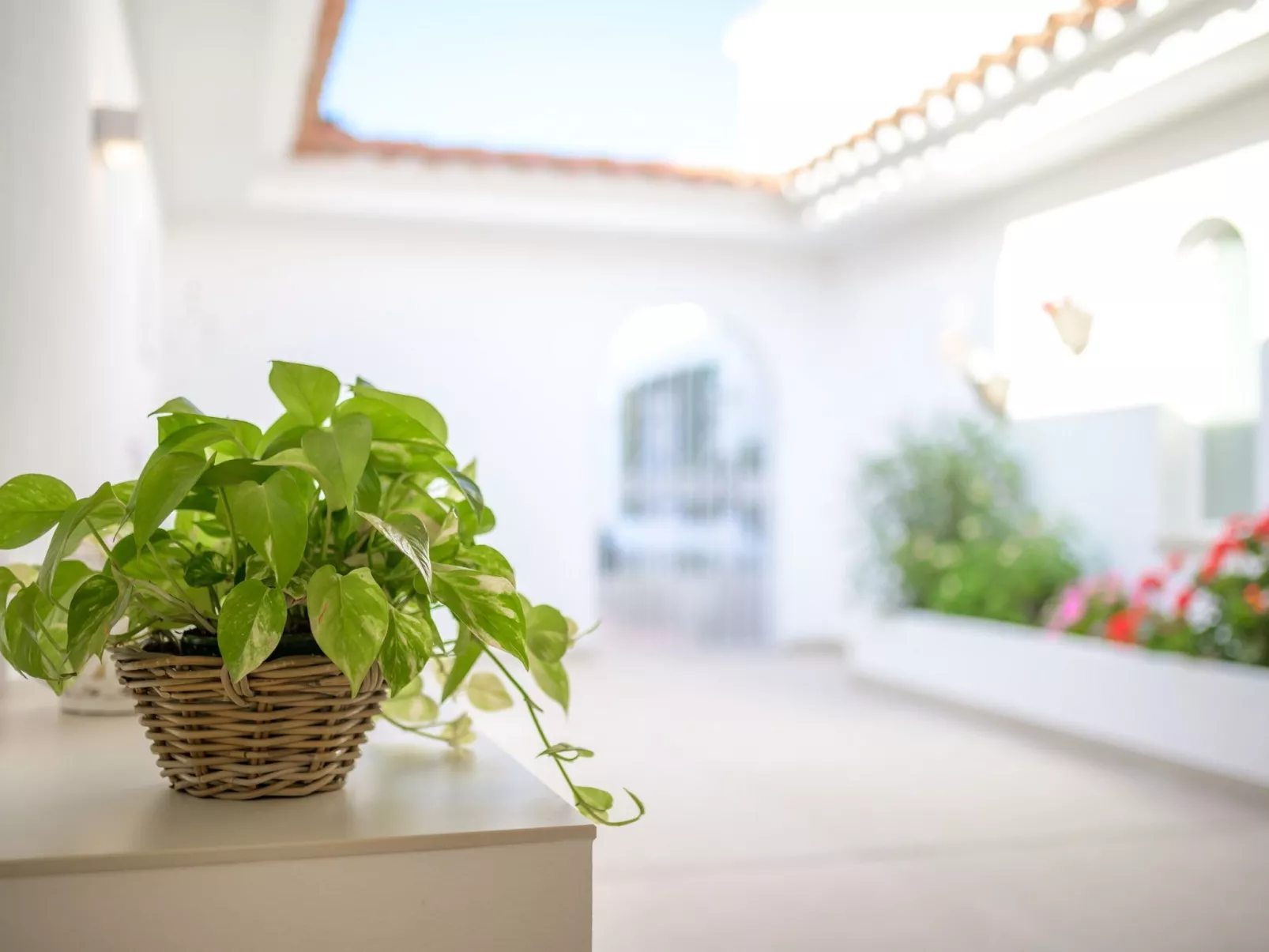 Villa Ponti A5 - direkt am Meer-Drinnen