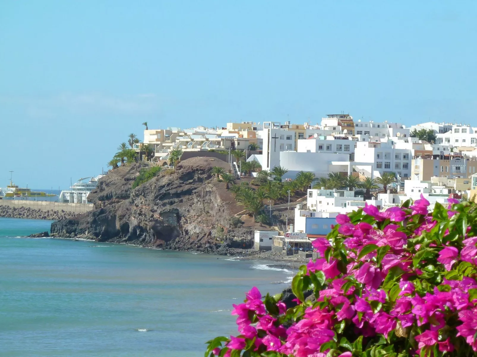 Tajinaste Terras-Dedans