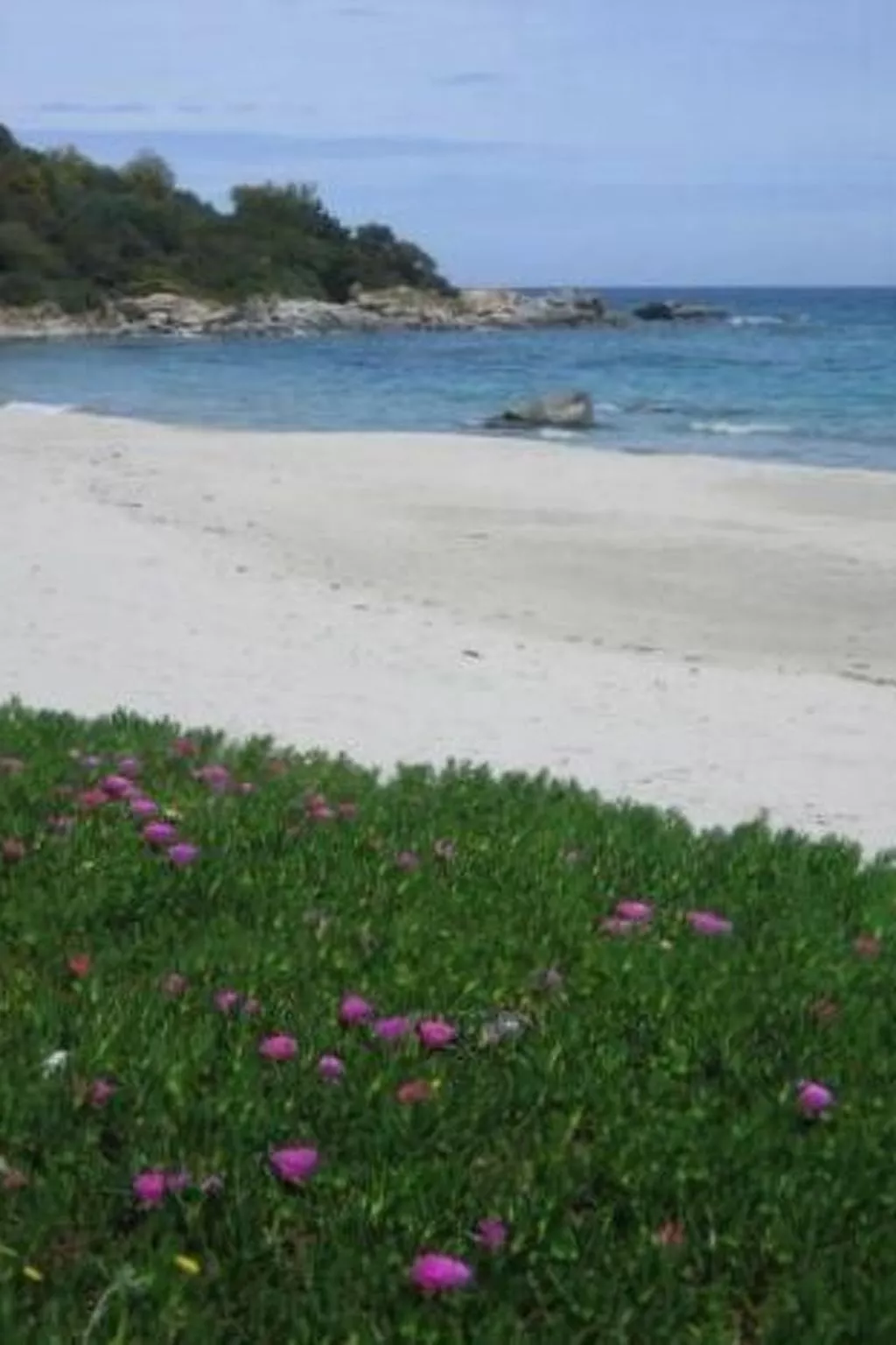 Natur, ökologische Nachhaltigkeit, nur für Erwachsene, Meer in der Nähe-Dedans