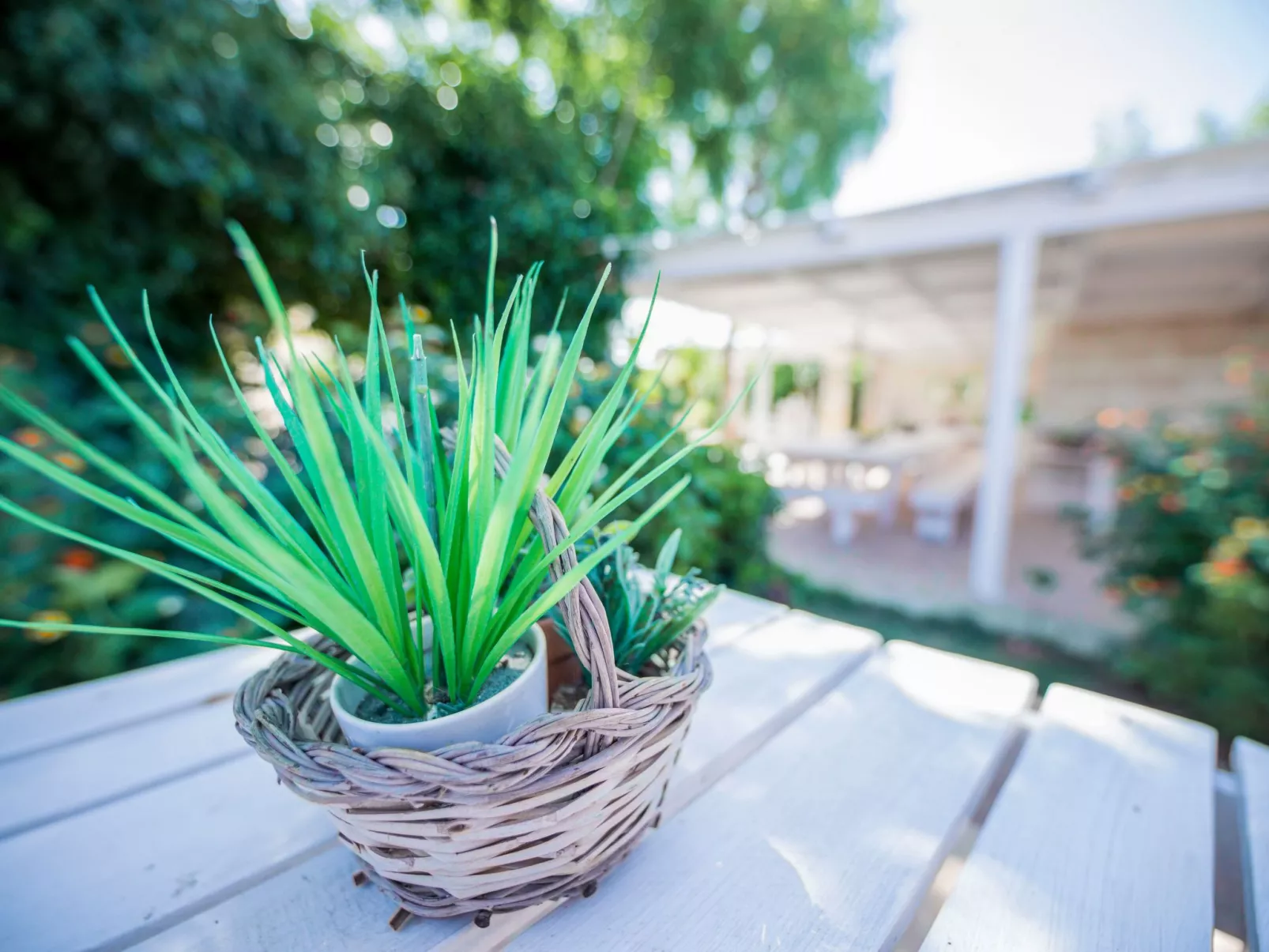 Casal del Borgo 1-Inside