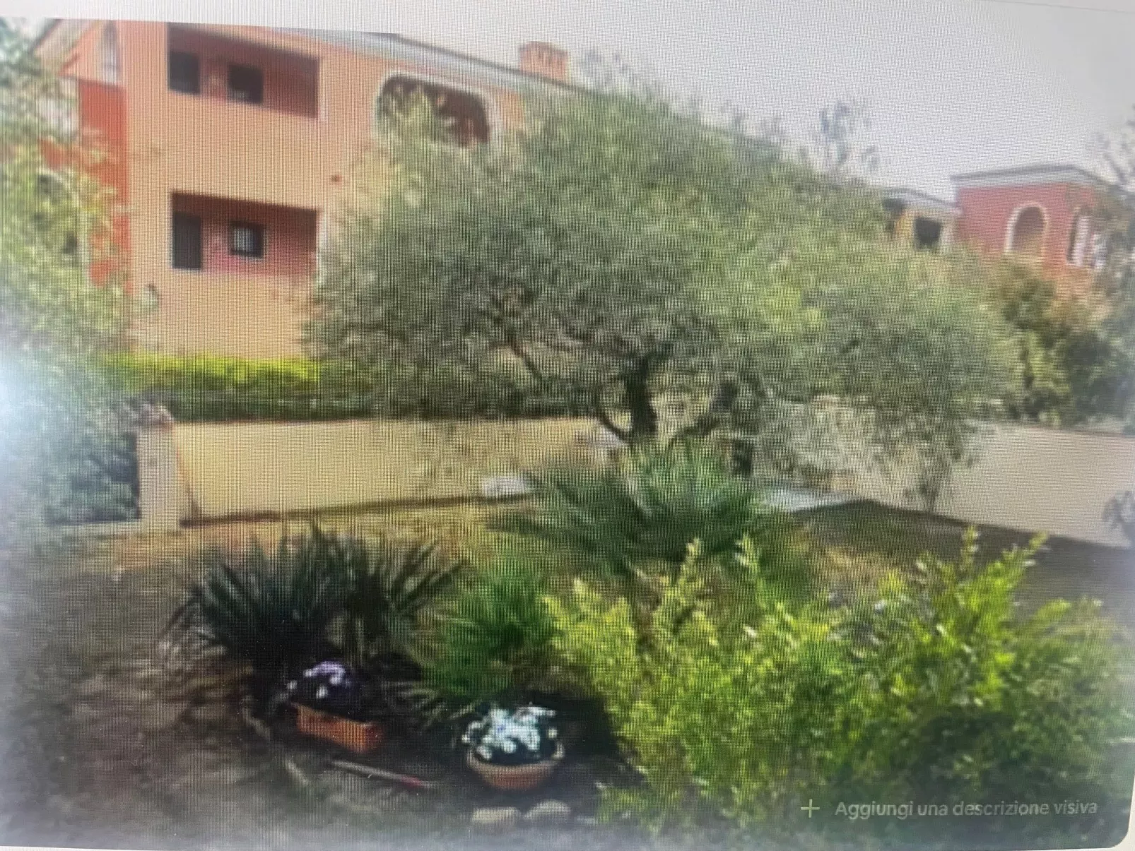 Haus der Oliven-Outside