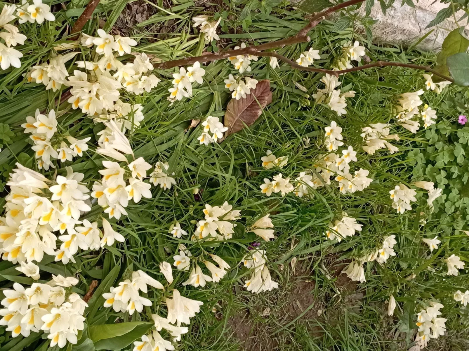 Mit Terrasse-Image-tags.info