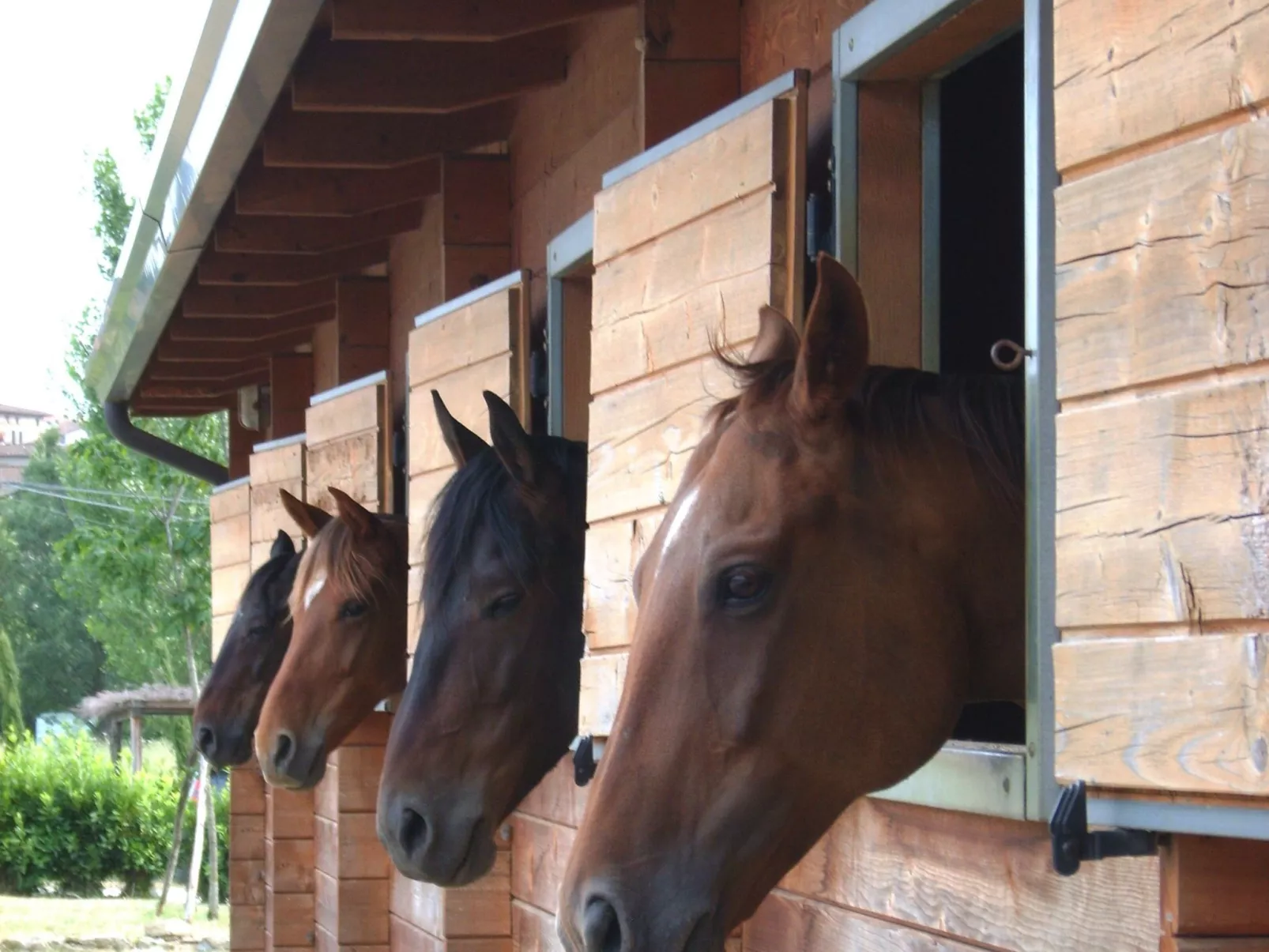 'La Torre' mit Terrasse-Image-tags.info