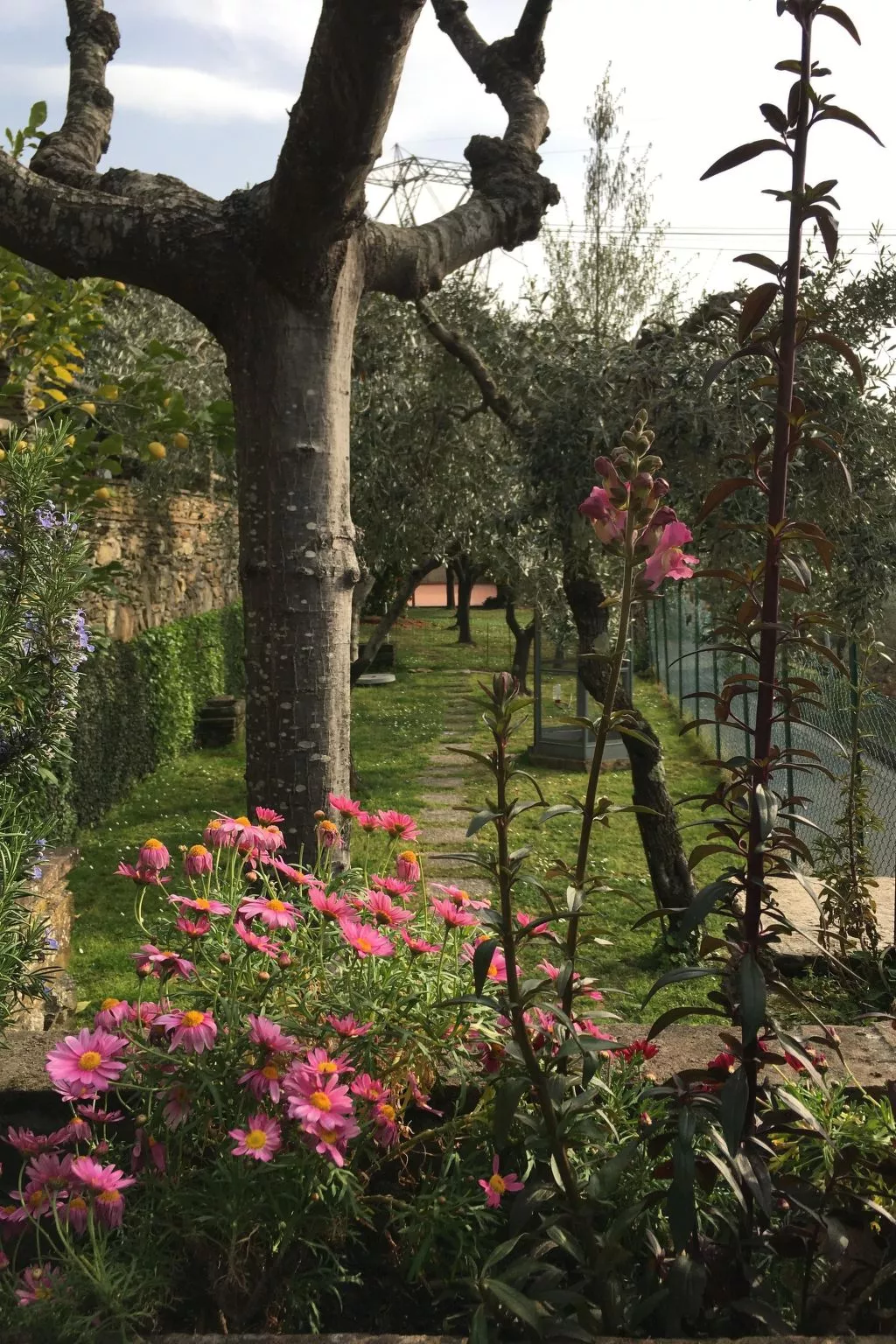 Wohnung 'Gelsomini' mit Meerblick-Inside