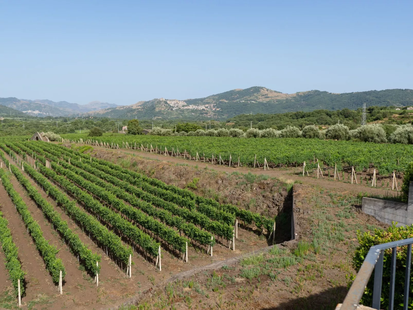 Villa Nocellara", umgeben von Weinbergen-Draußen