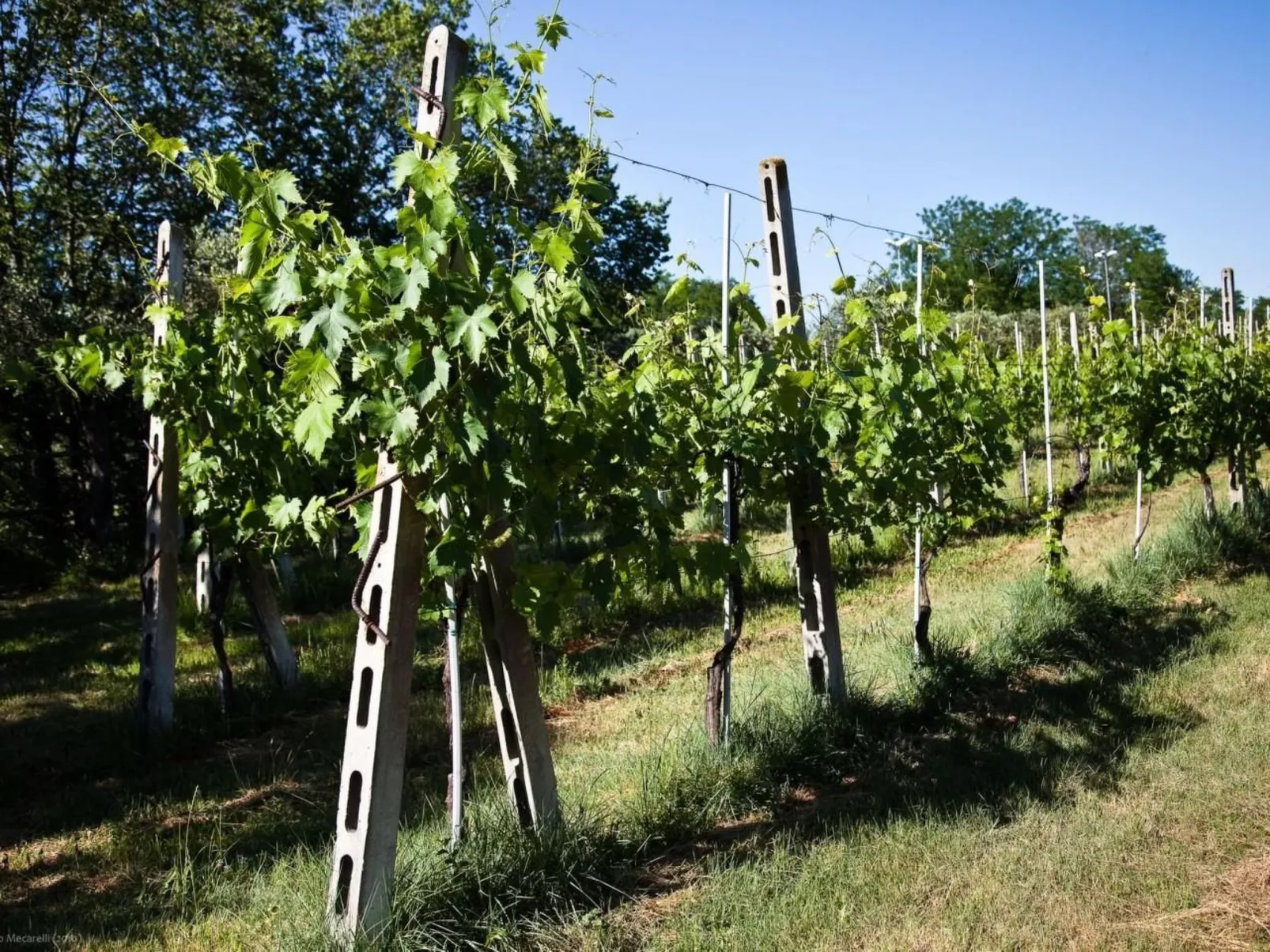 Bauernhof-Scheune-Draußen