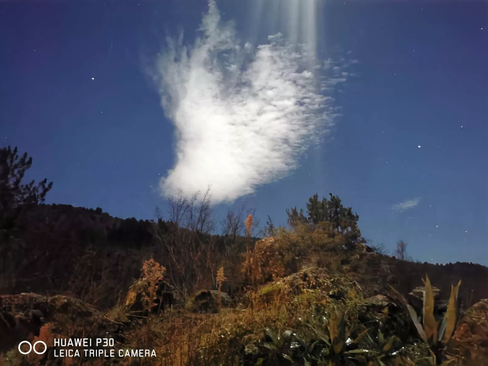 Chalet 'Perle des Höhenweges'-Outside