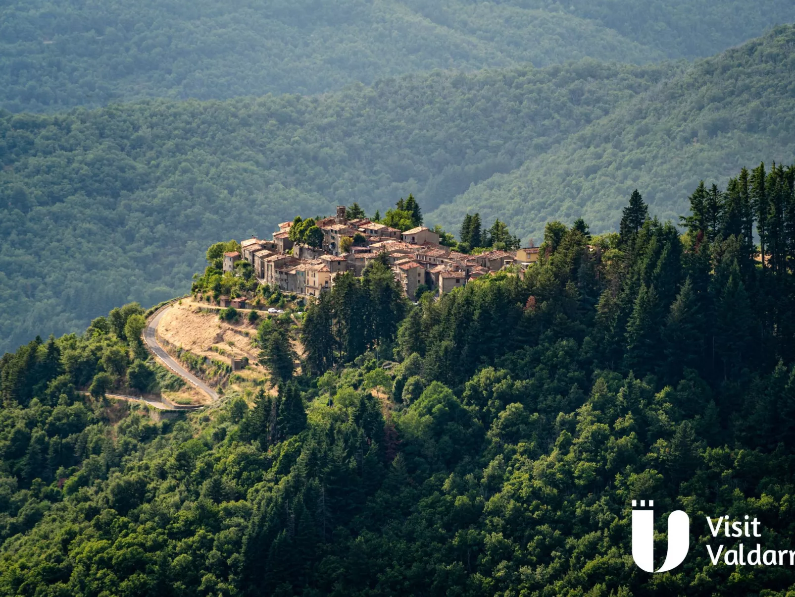 Flache Kornblume-Inside