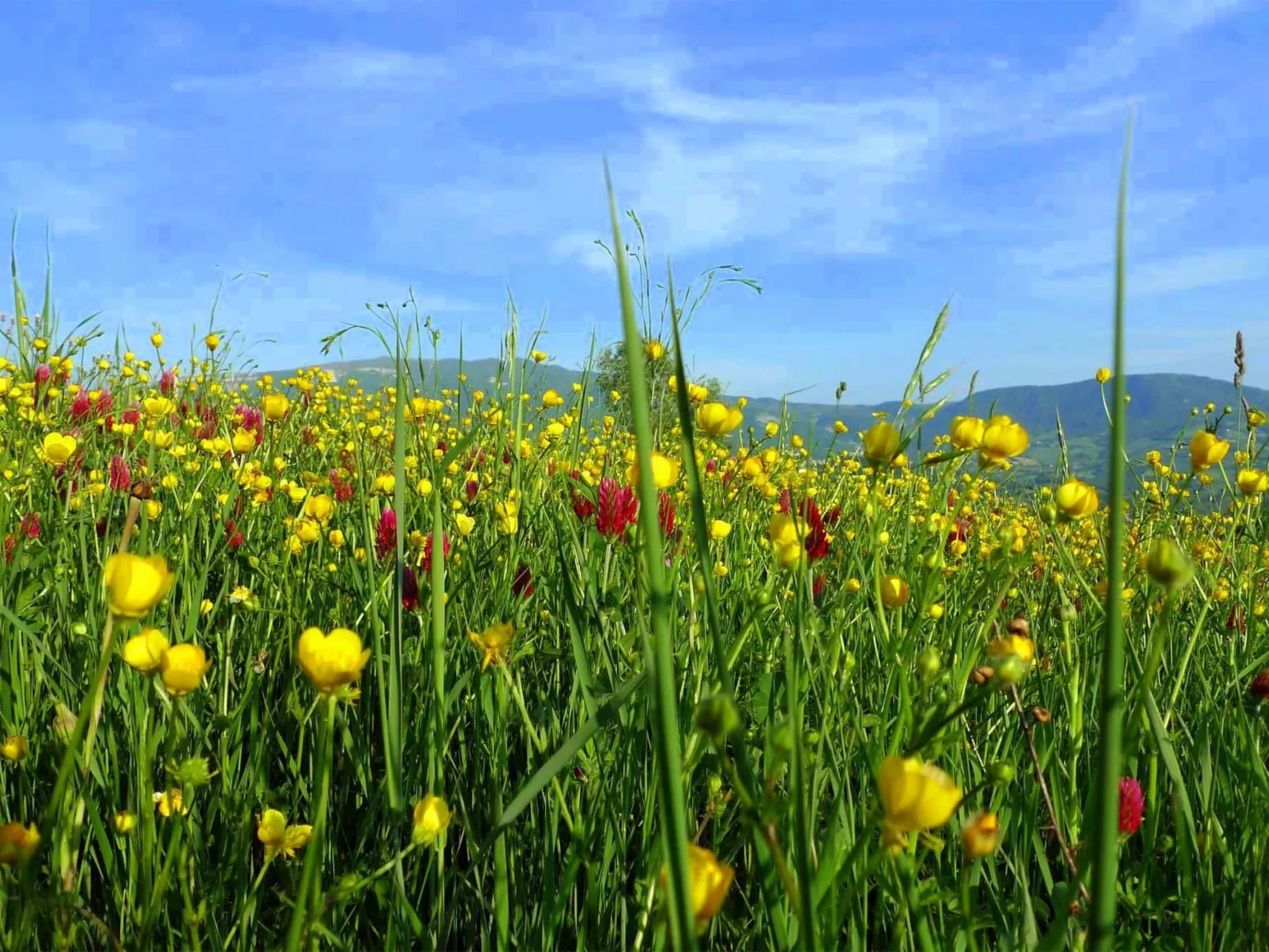 Anwesen mit Gemeinschaftspool-Dedans