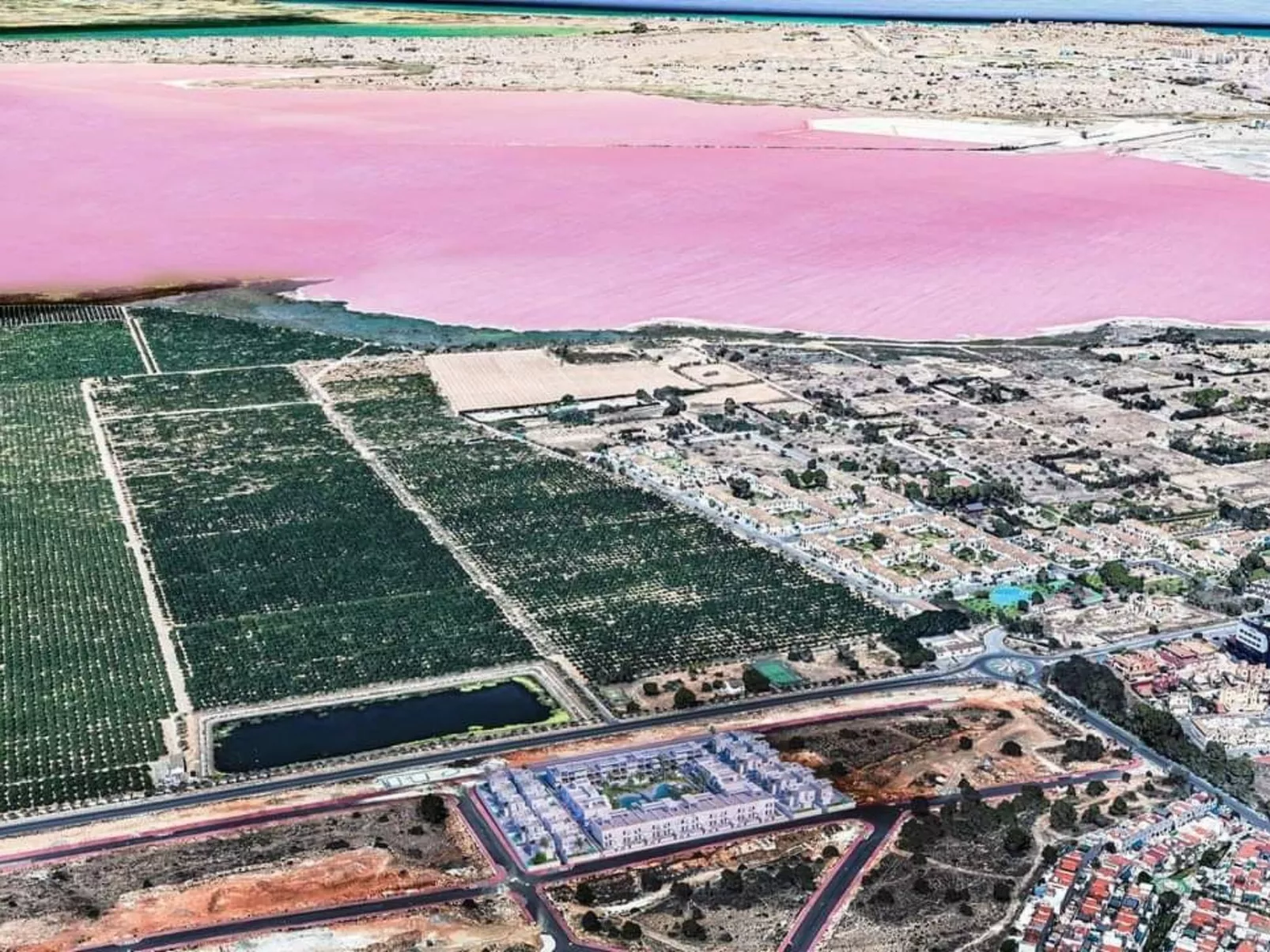 Penthouse in Torrevieja-Inside