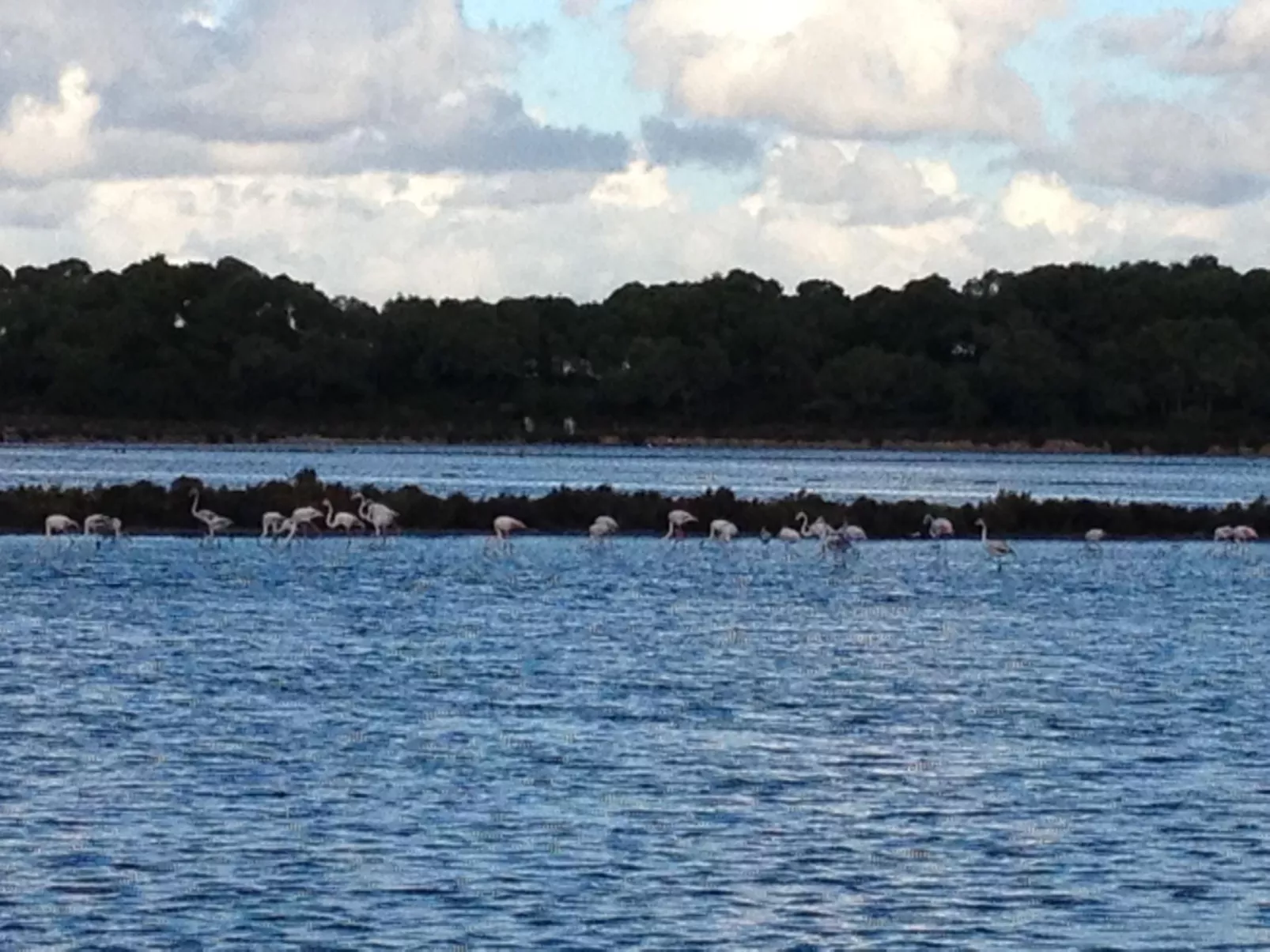 In Campos mit Privatem Pool-Outside