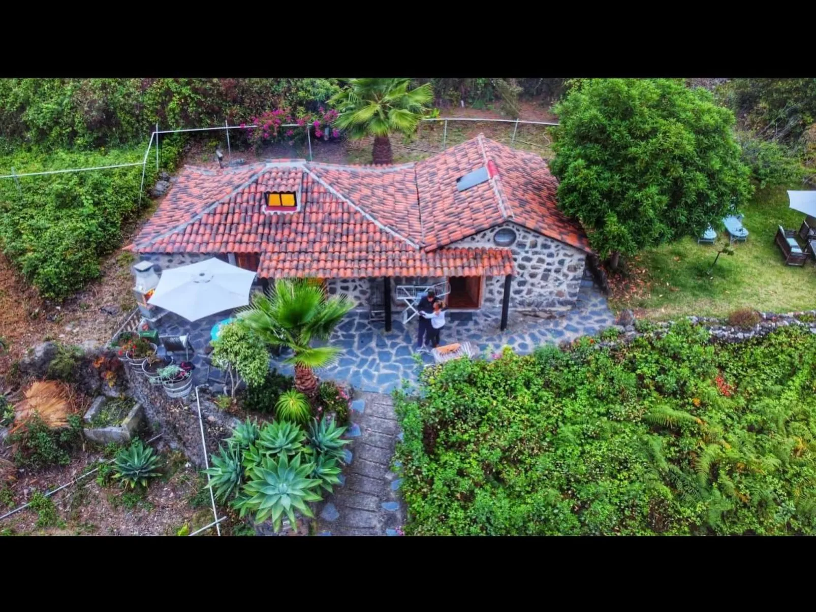 FW Cueva del Viento-Image-tags.info