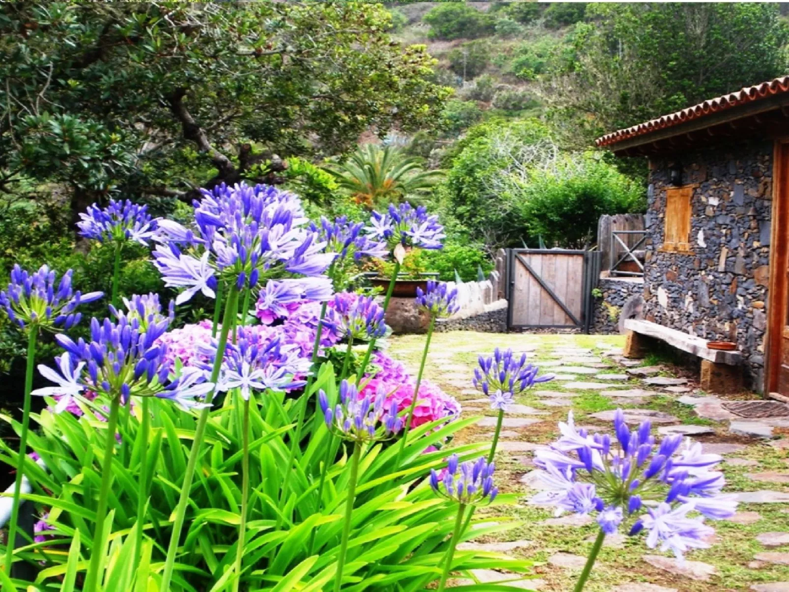 Freistehendes Ferienhaus La Maleza in La Palmita-Dedans