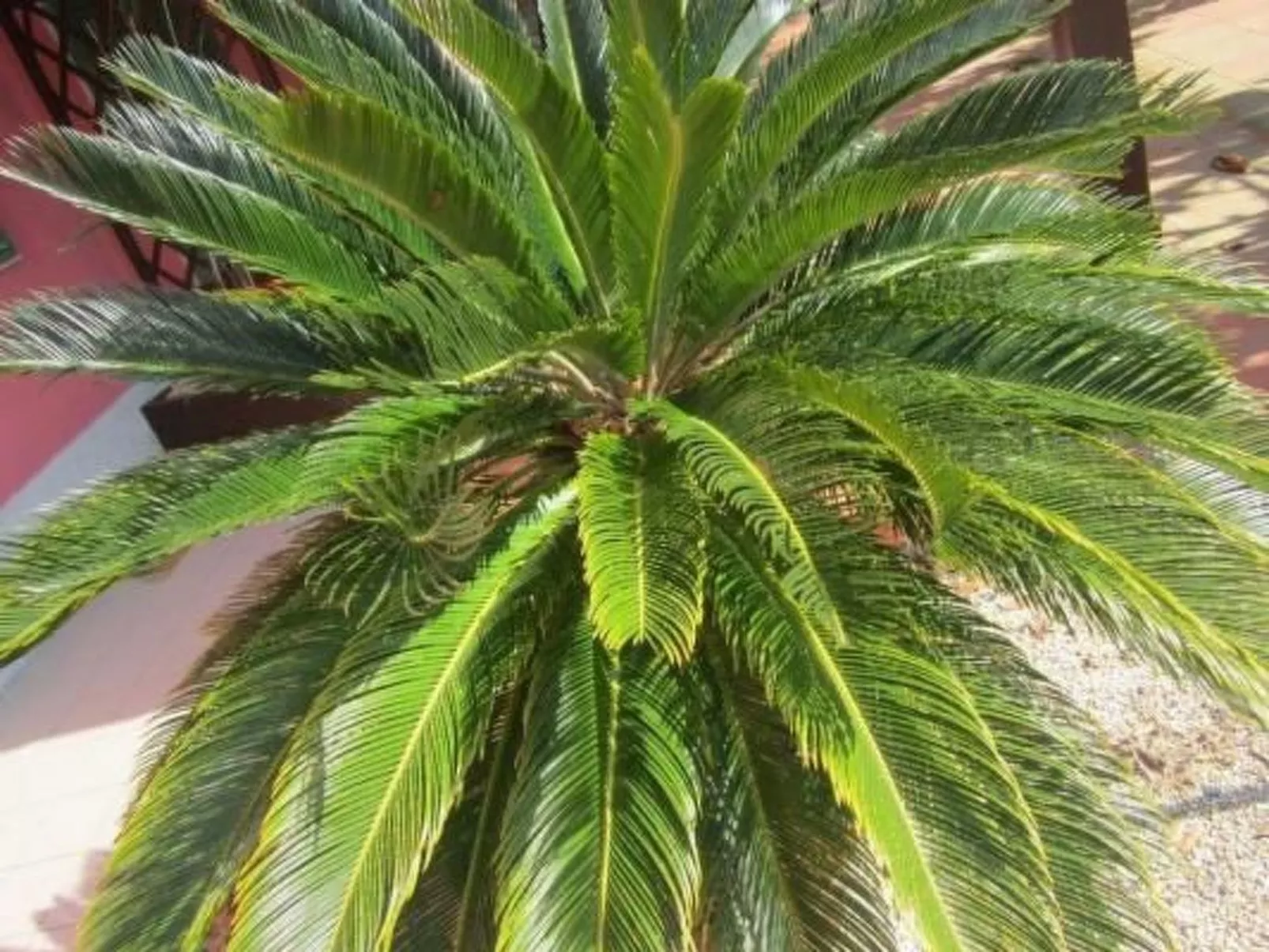 Wohnung mit Wasserblick-Inside