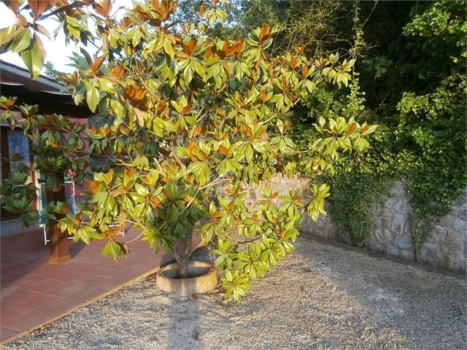 Mit Wasserblick-Inside