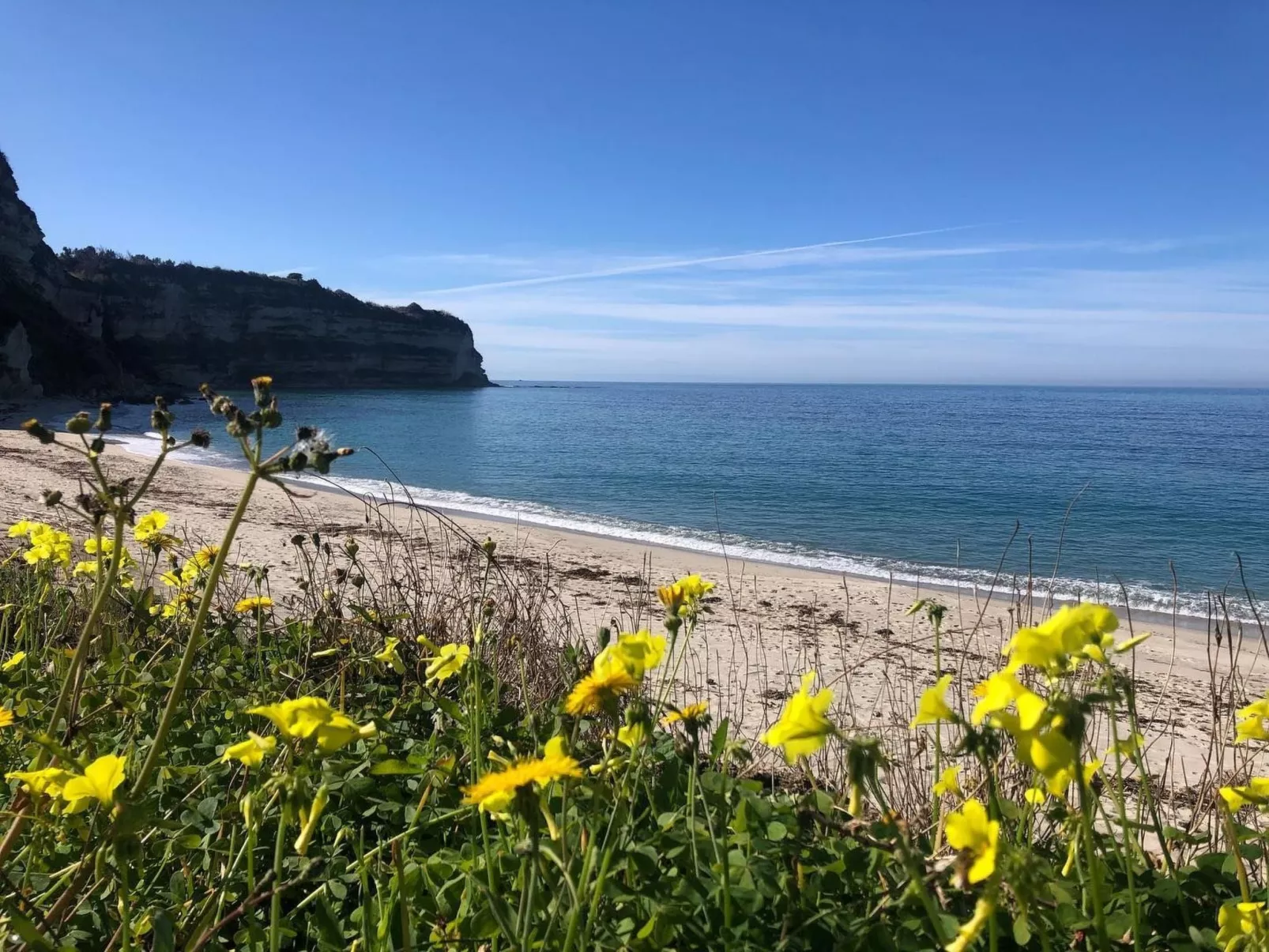 Vanessa-Image-tags.info