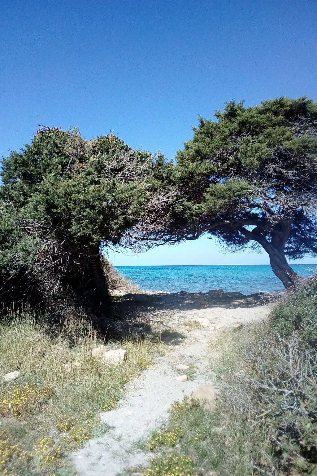 Entos La Caletta-Inside