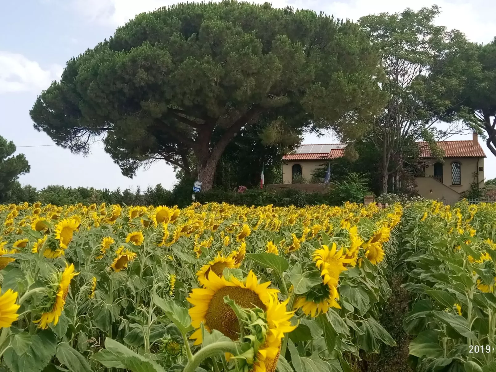 Komfortables Studio für 2 Personen-Image-tags.info