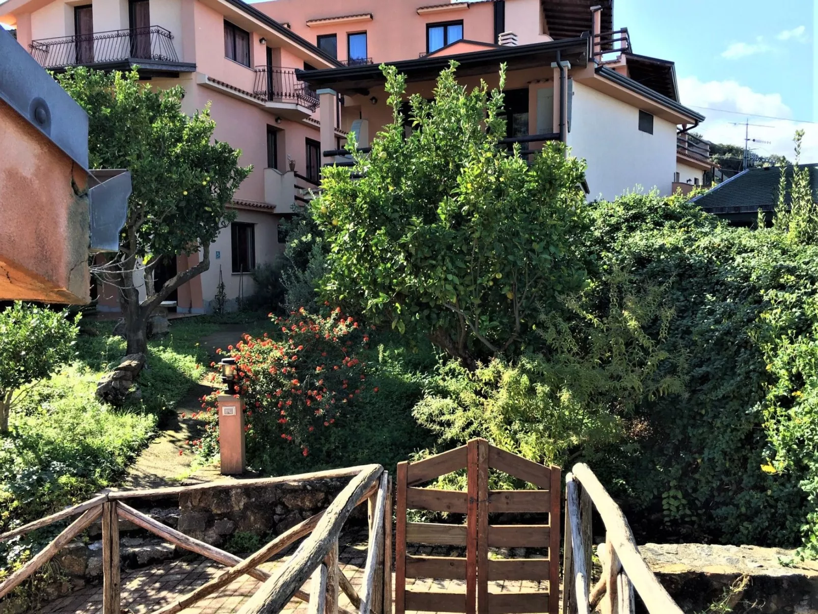 Flache Zeder-Image-tags.info