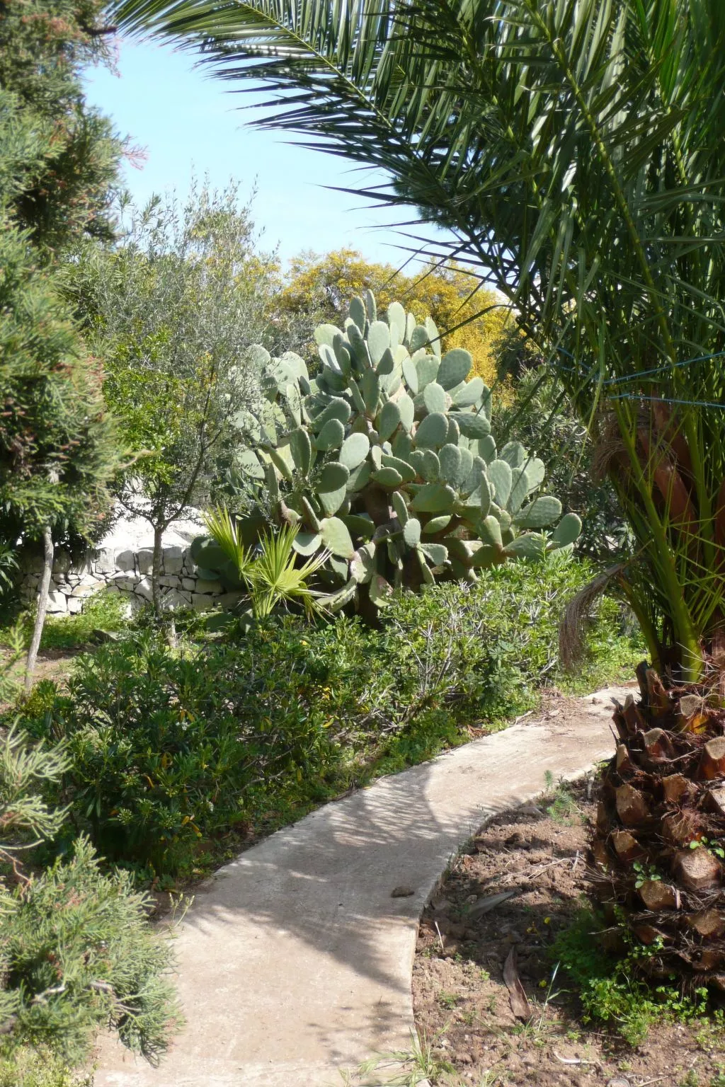 Mit grosser Terrasse direkt am Meer-Dedans