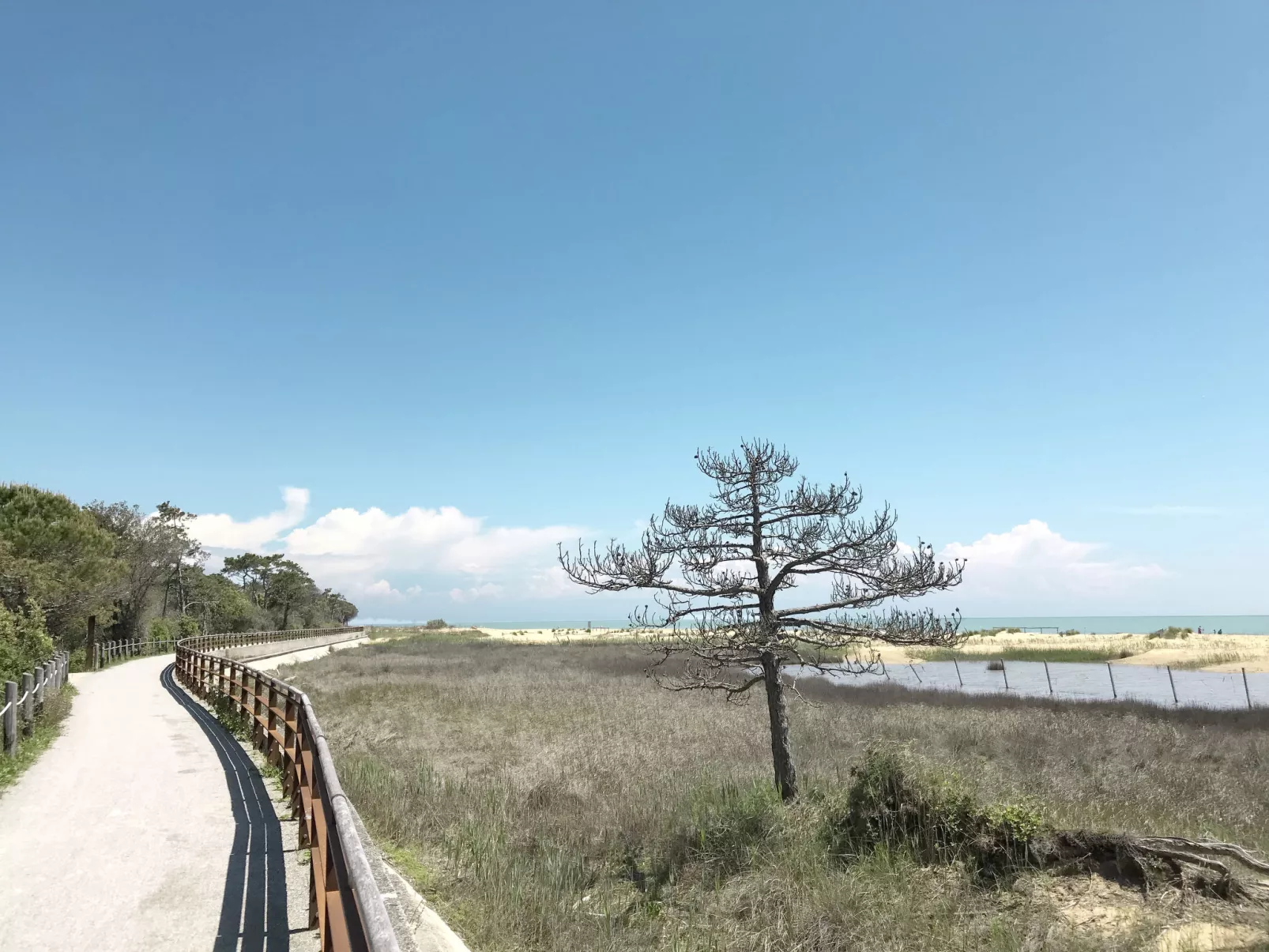 Für 6 Personen-Area